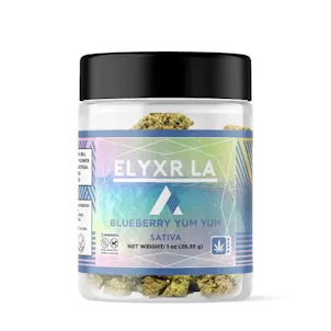 Photo of Delta 8 Flower | Sativa ~ Blueberry Yum Yum