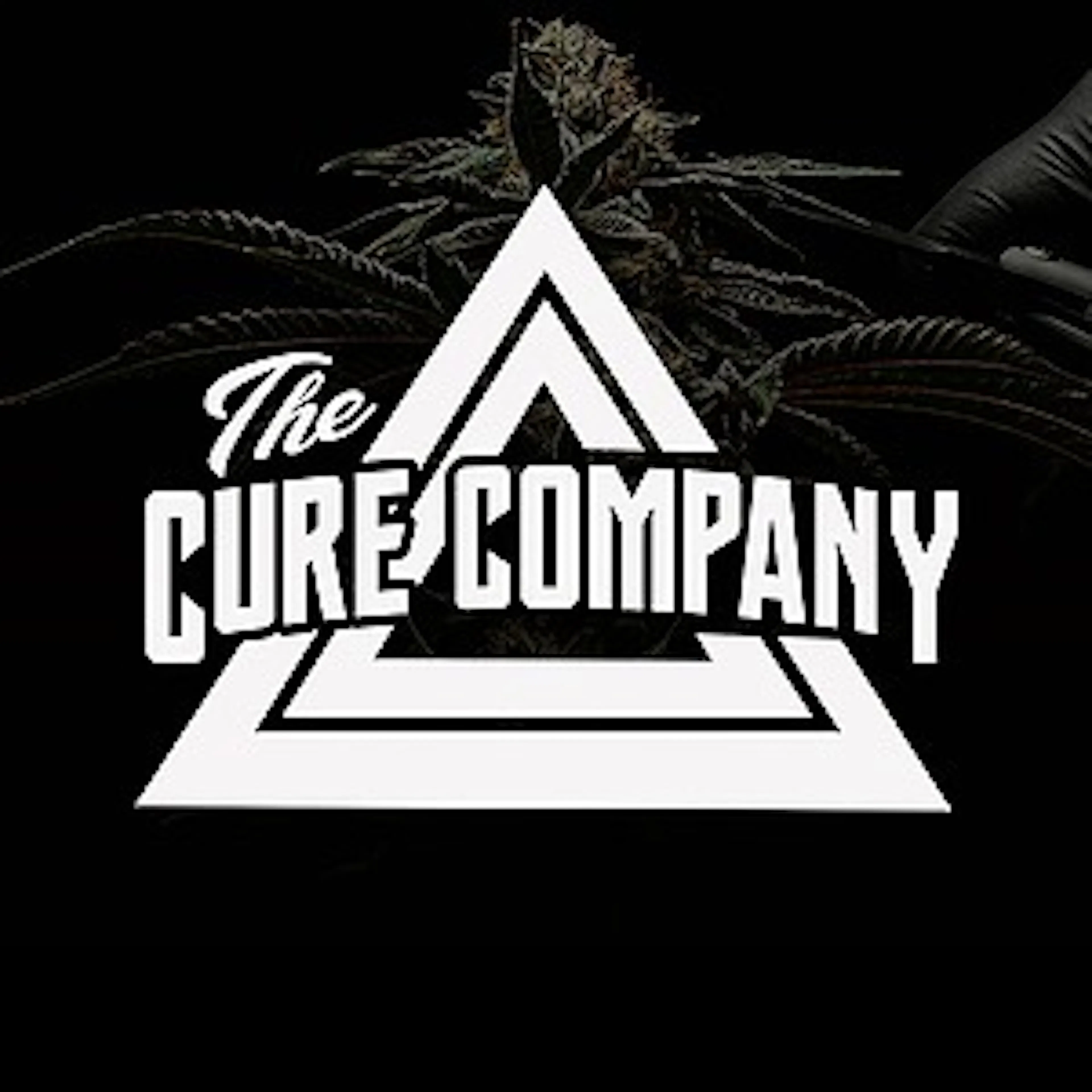 The Cure Company logo