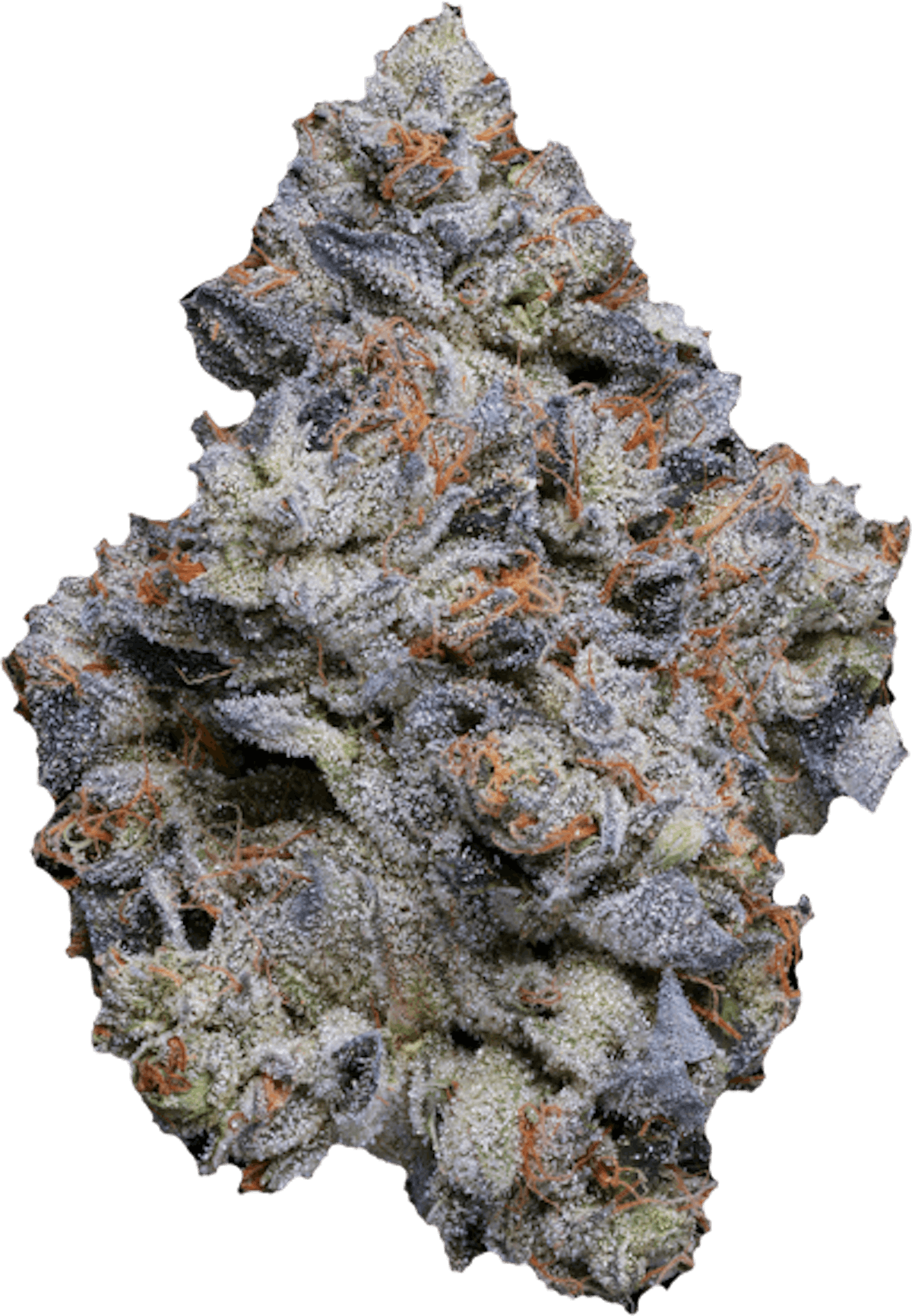 Blue Face Weed Strain Information Leafly