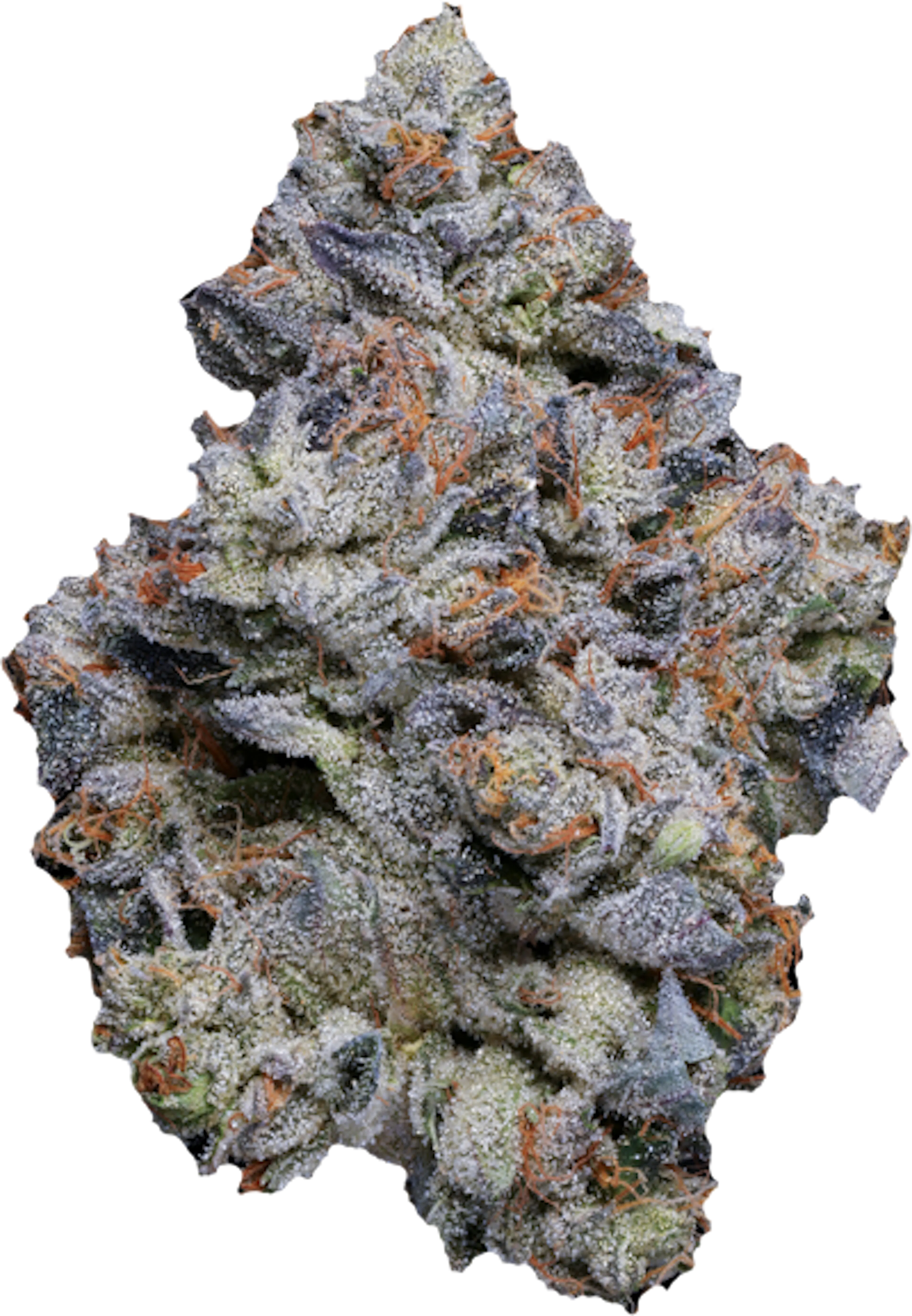 Picture of Blue Face