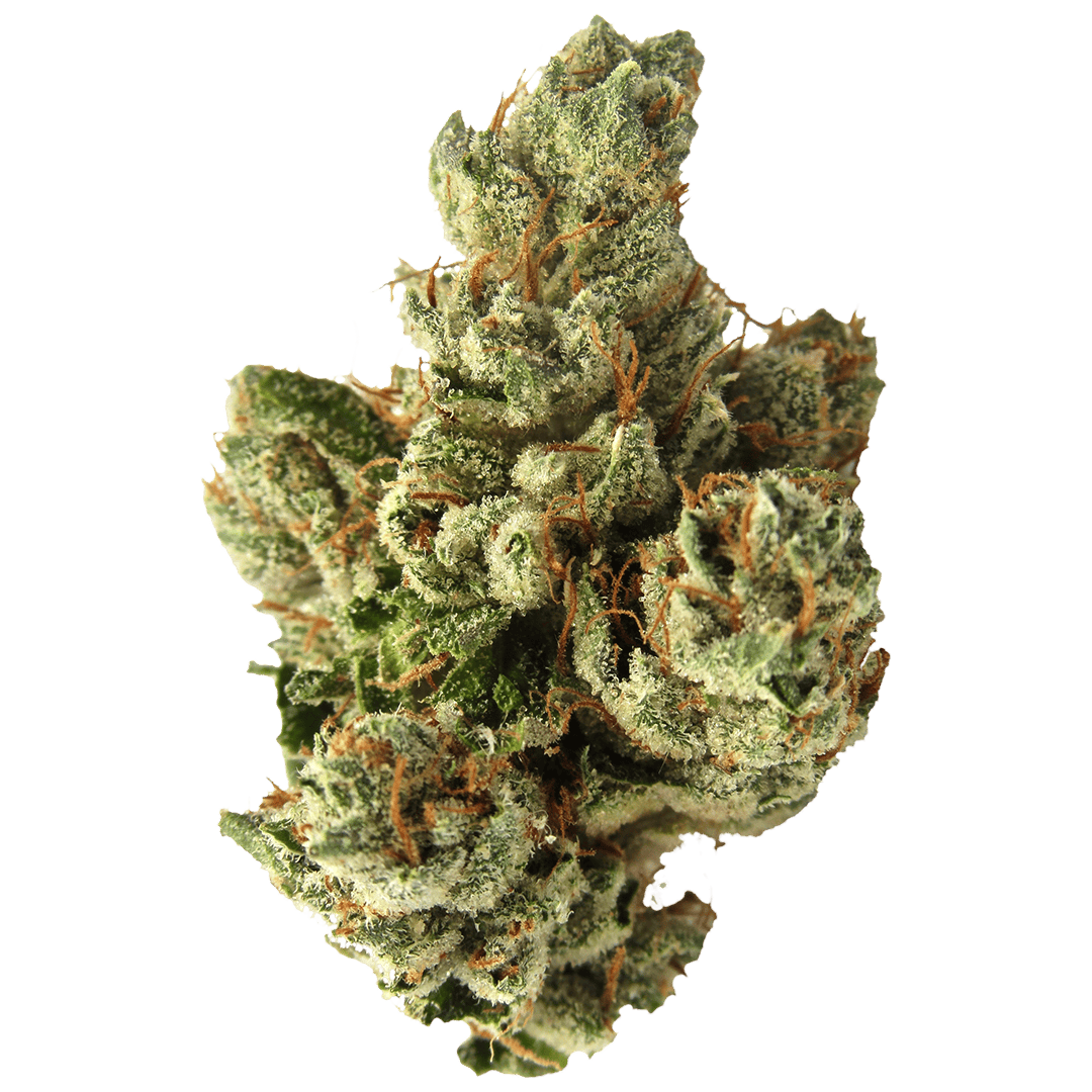 SFV OG Kush aka San Fernando Valley Kush, SFV OG,
