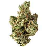 Nug image for SFV OG Kush