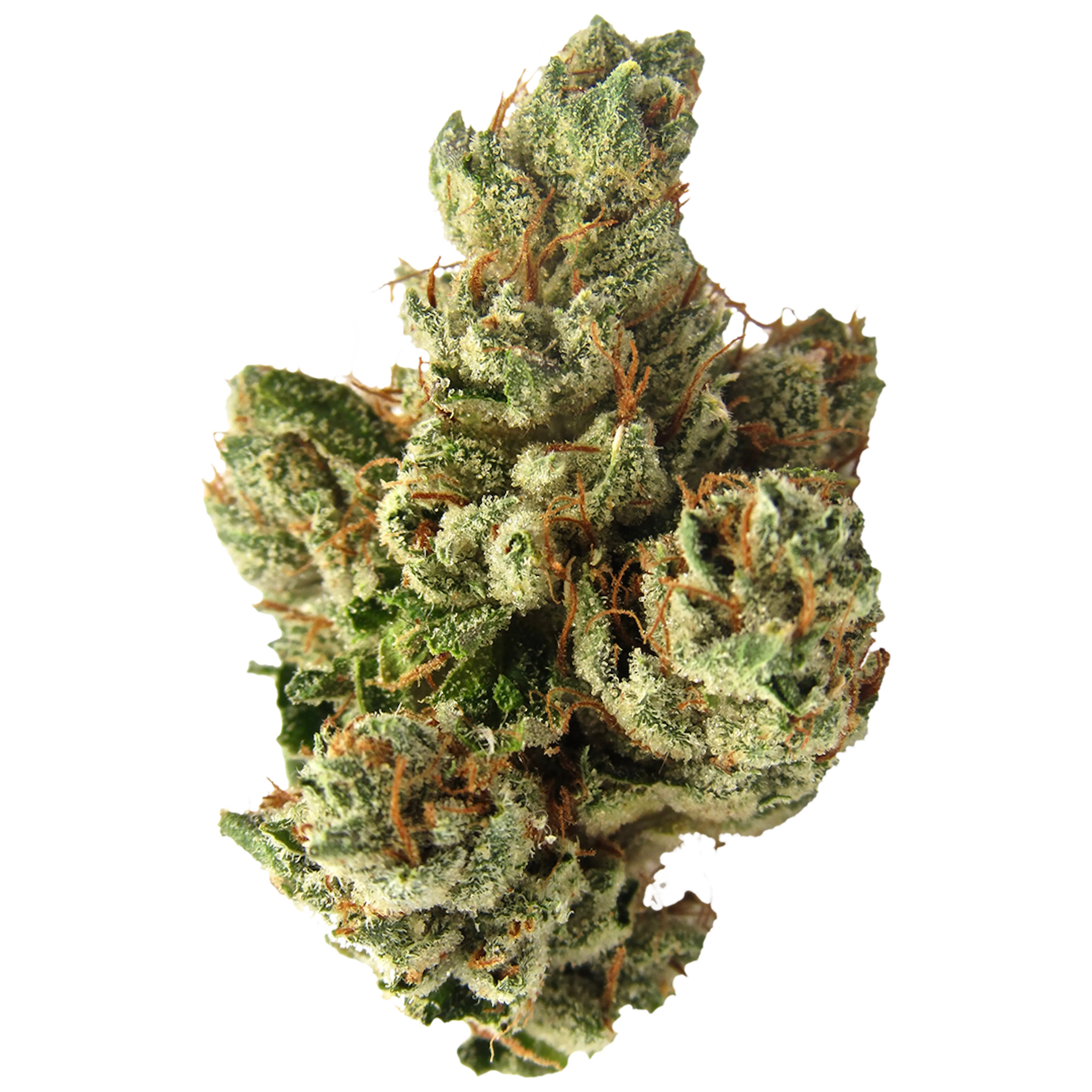 Picture of SFV OG Kush