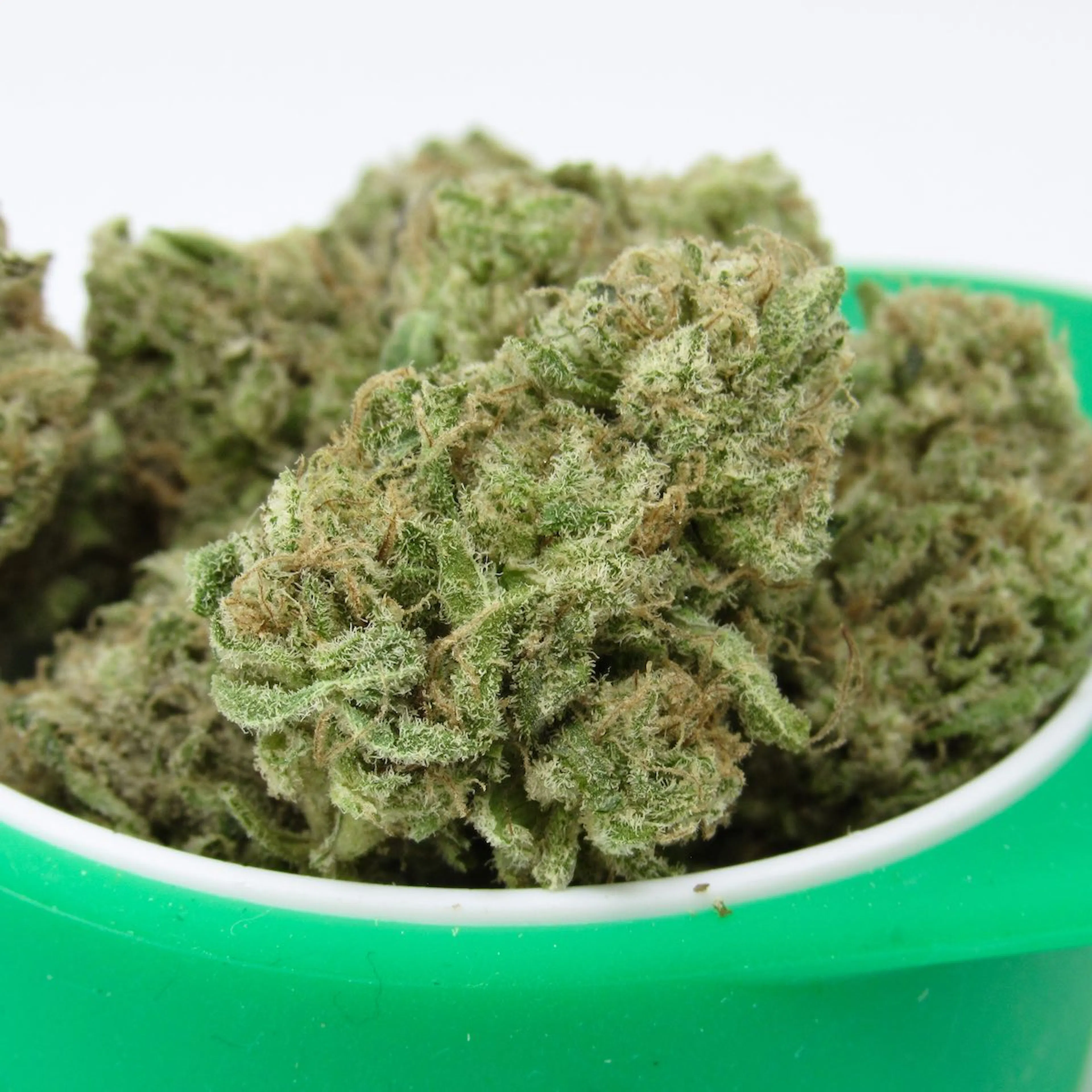 Picture of Coolio