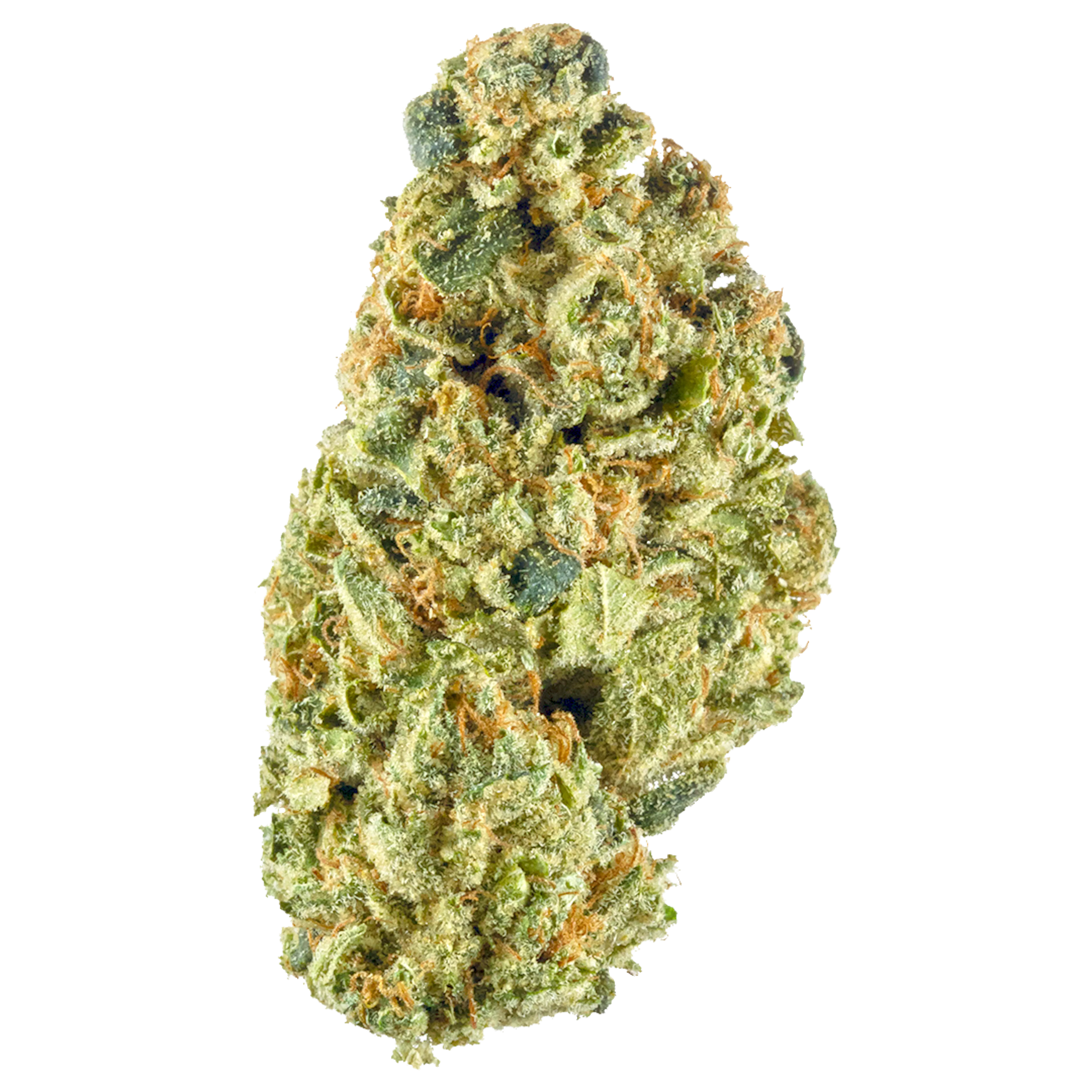 Picture of Headband