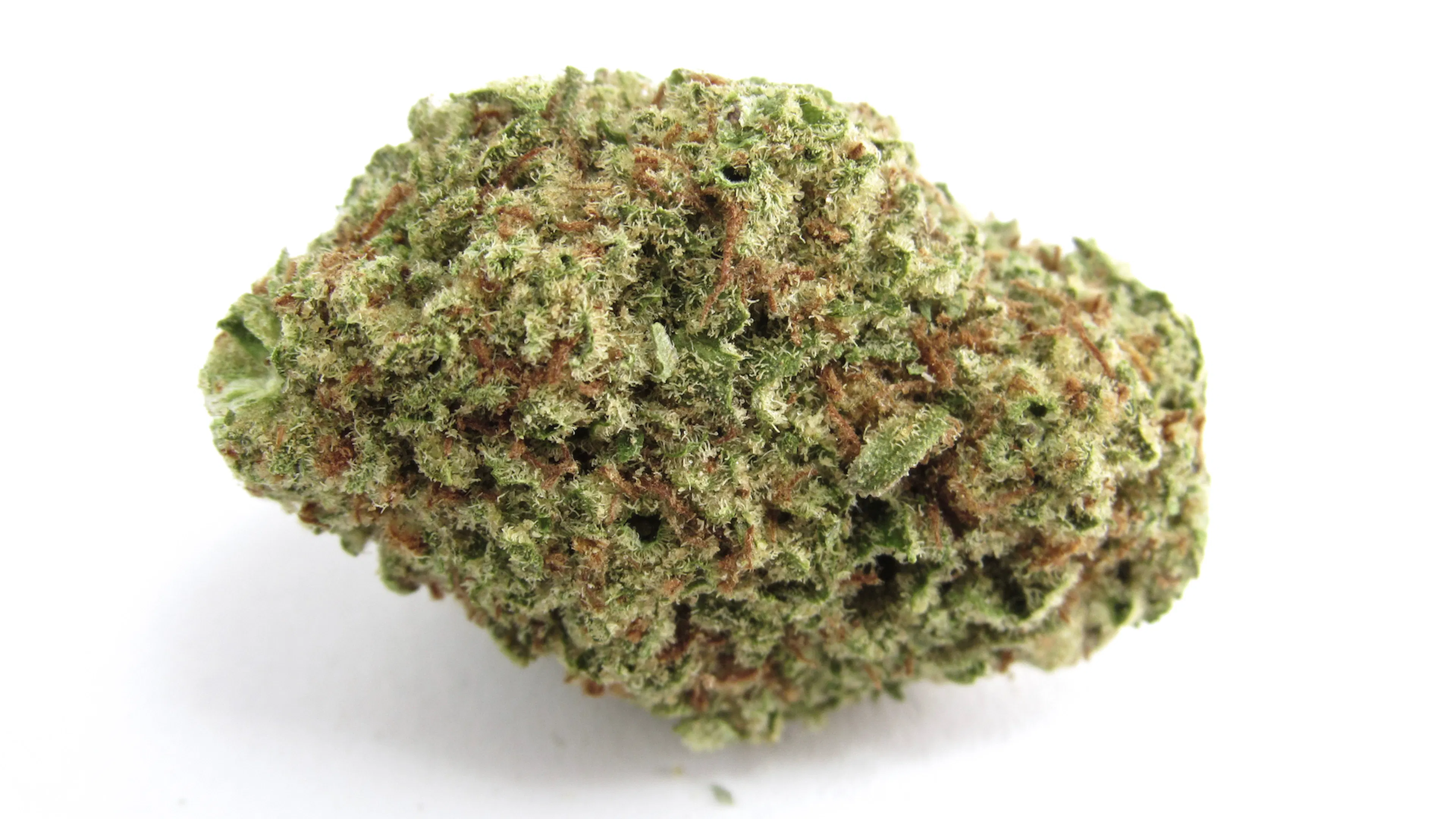 Picture of Papaya Punch