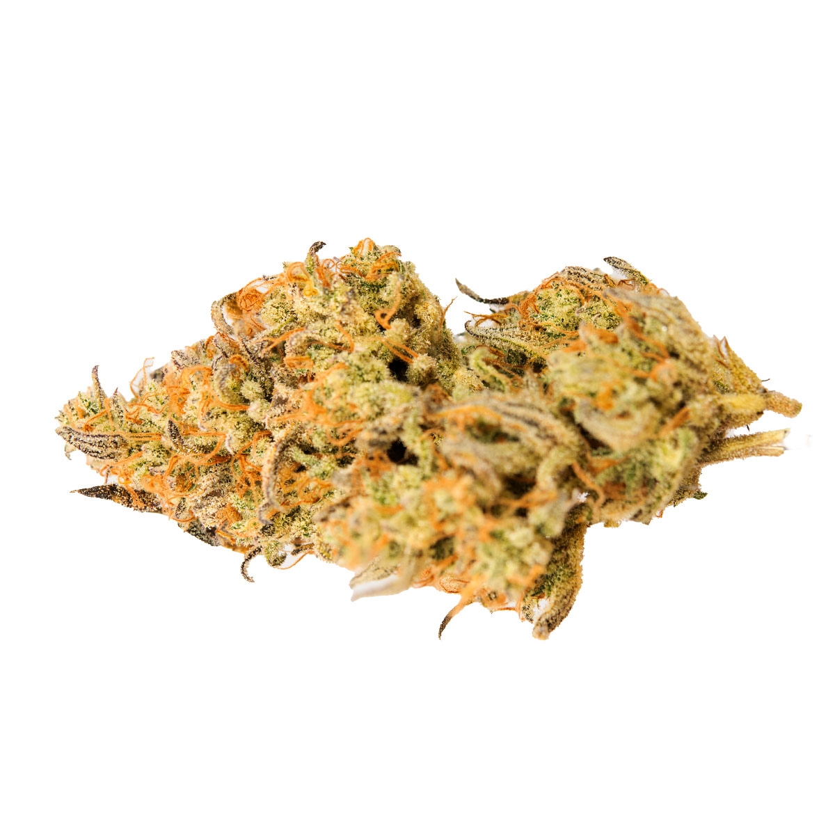 Jealousy Z XL Auto Hybrid Cannabis Strain