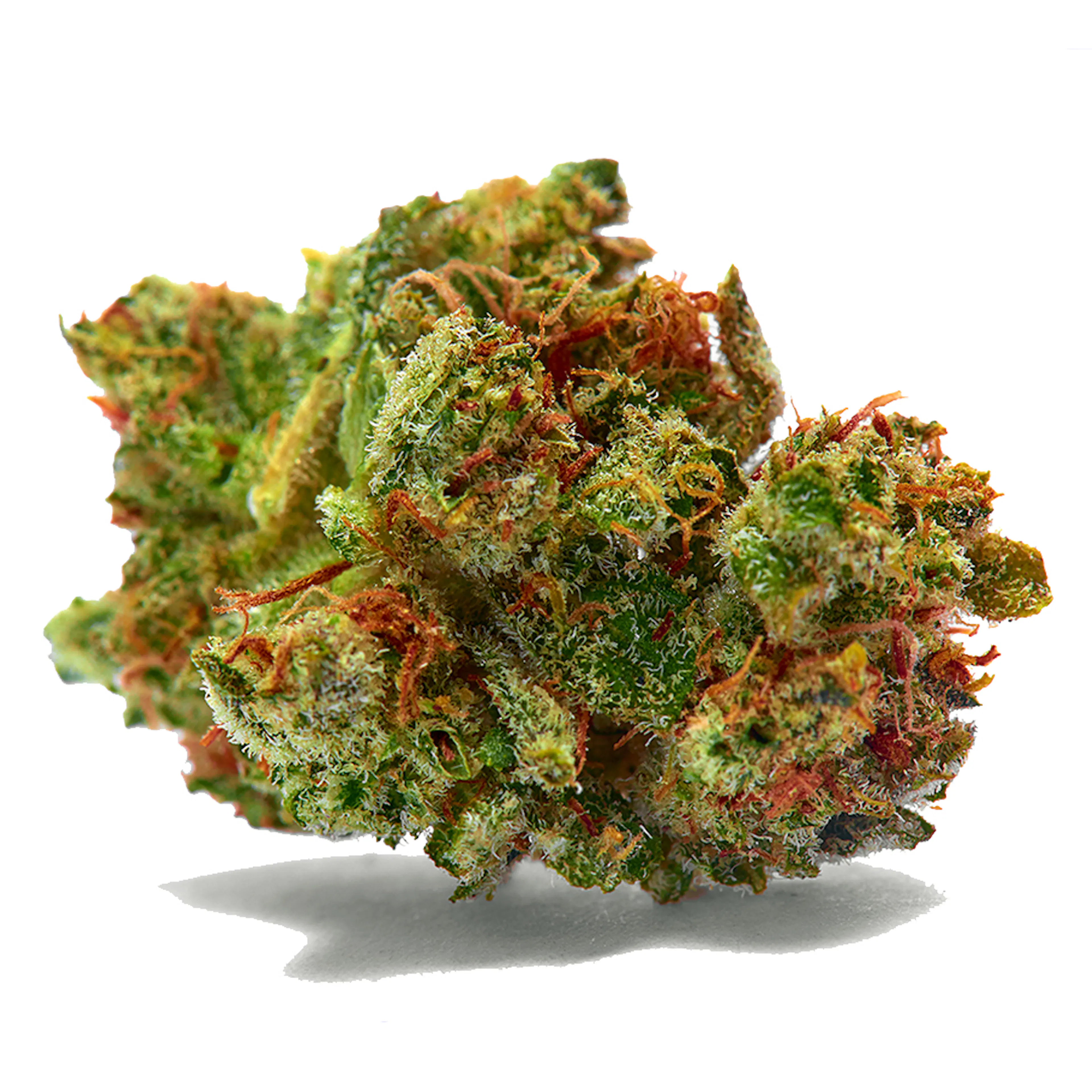 Picture of Sour Diesel