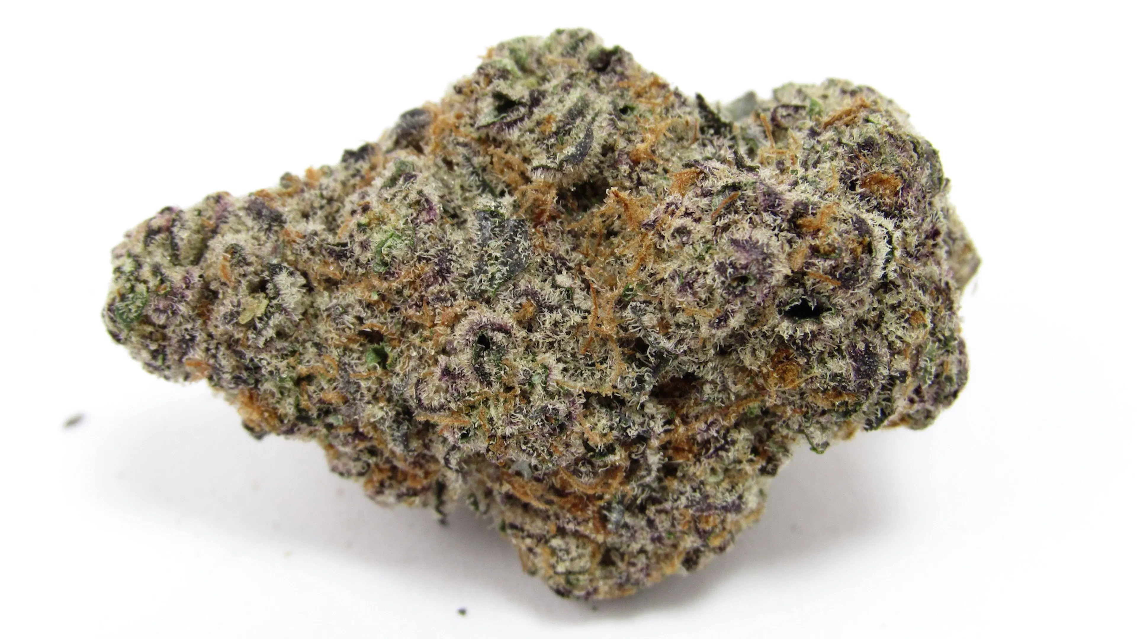 Picture of Glitter Bomb