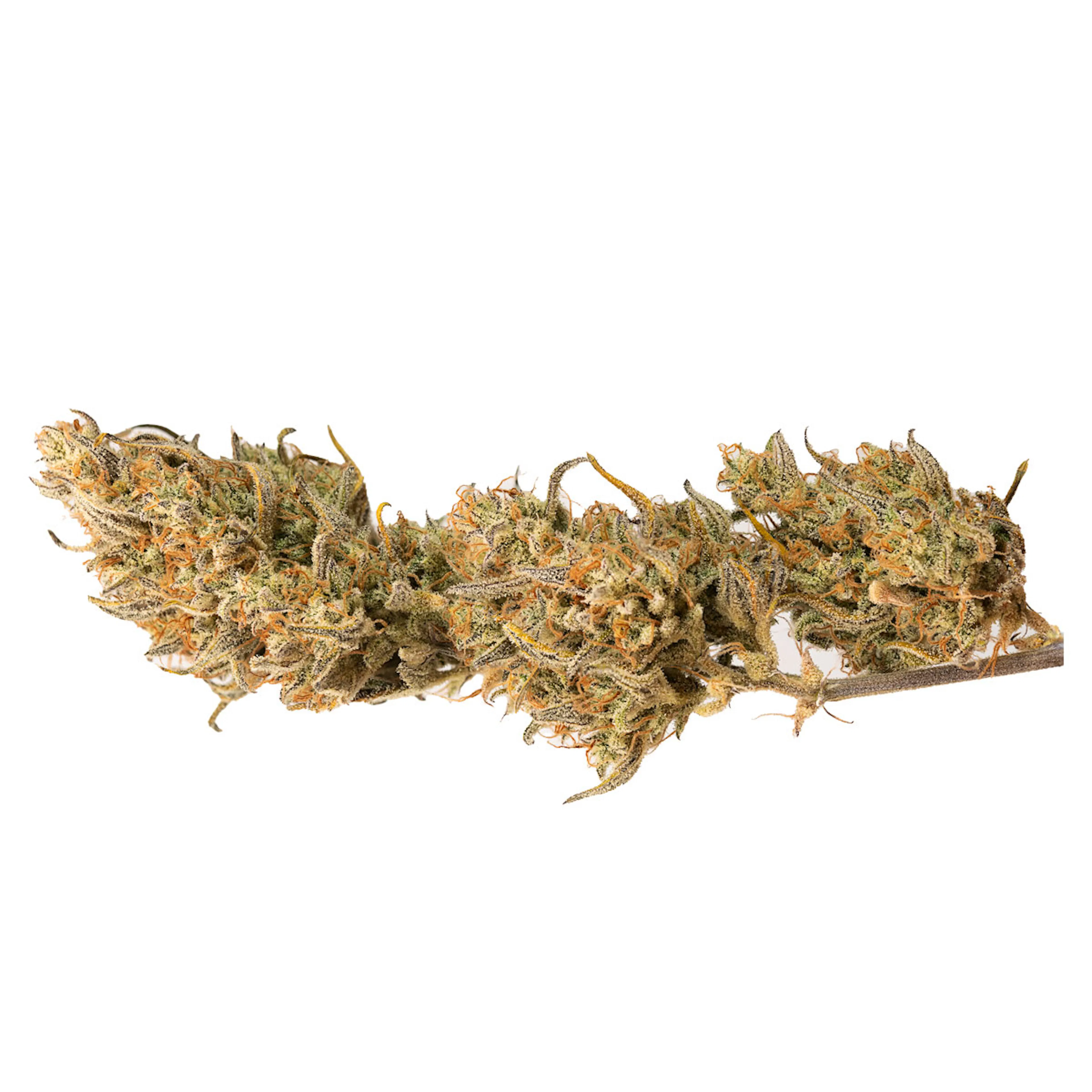 Picture of Crystal Candy XL Auto