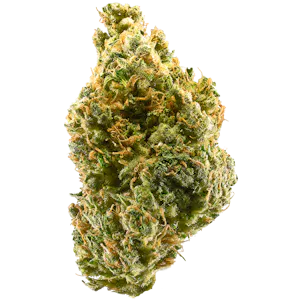 8wTMziz0RQaJqNE4juPn_Tangie.