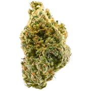 Nug image for Tangie