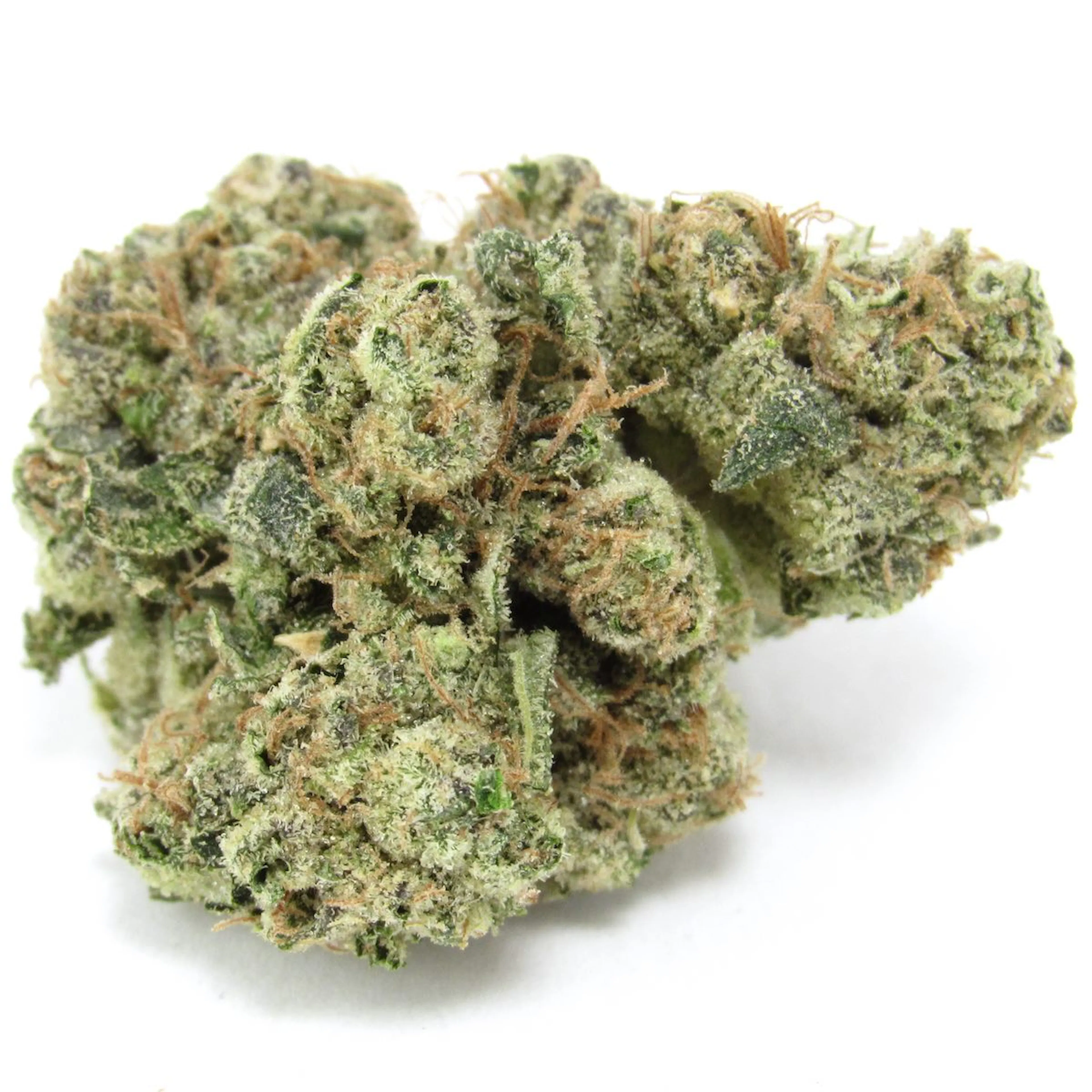 Picture of Headbanger