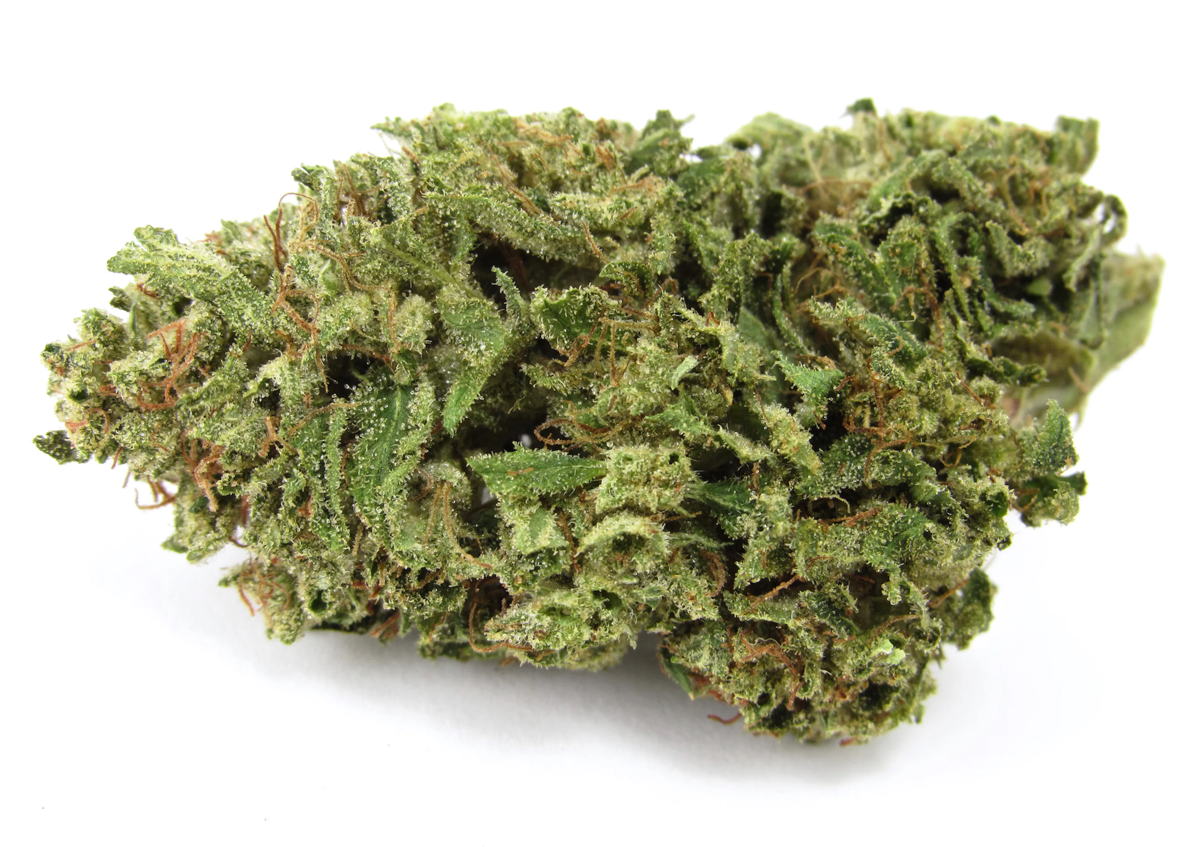 Picture of La Bomba