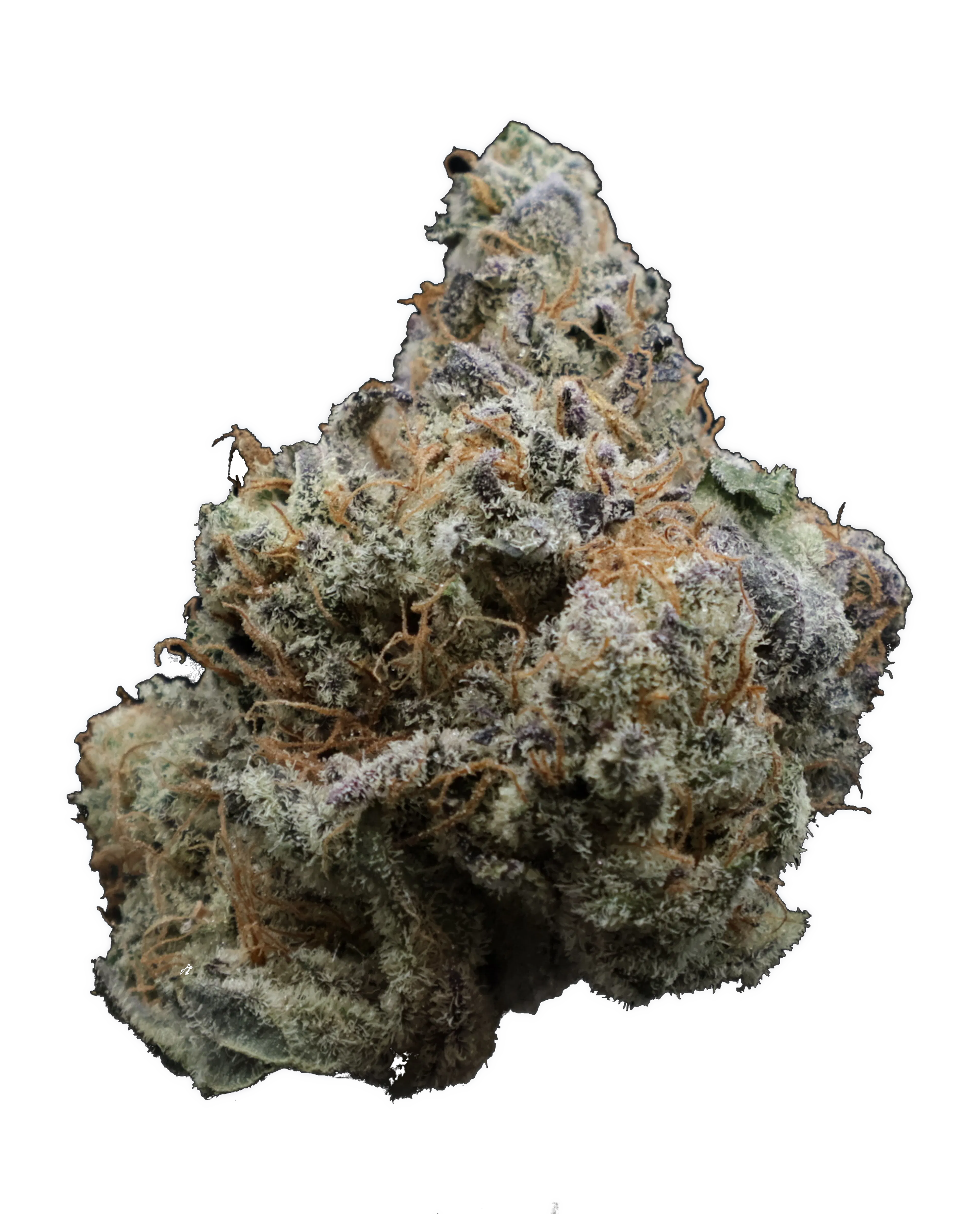 Picture of Rockfurd Peach