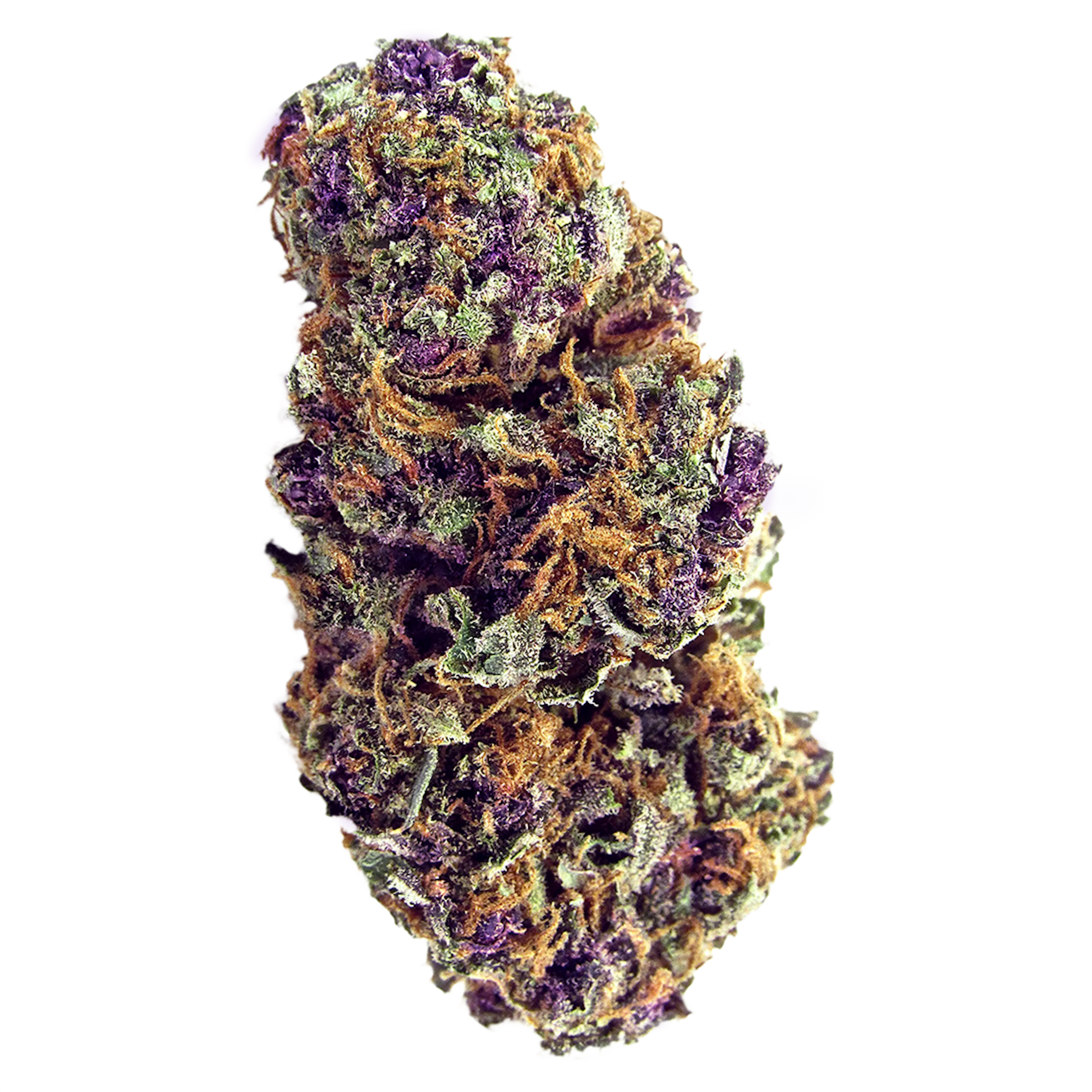 Picture of Purple Palm Tree Delight