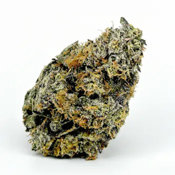 Sungrown Gush Mintz