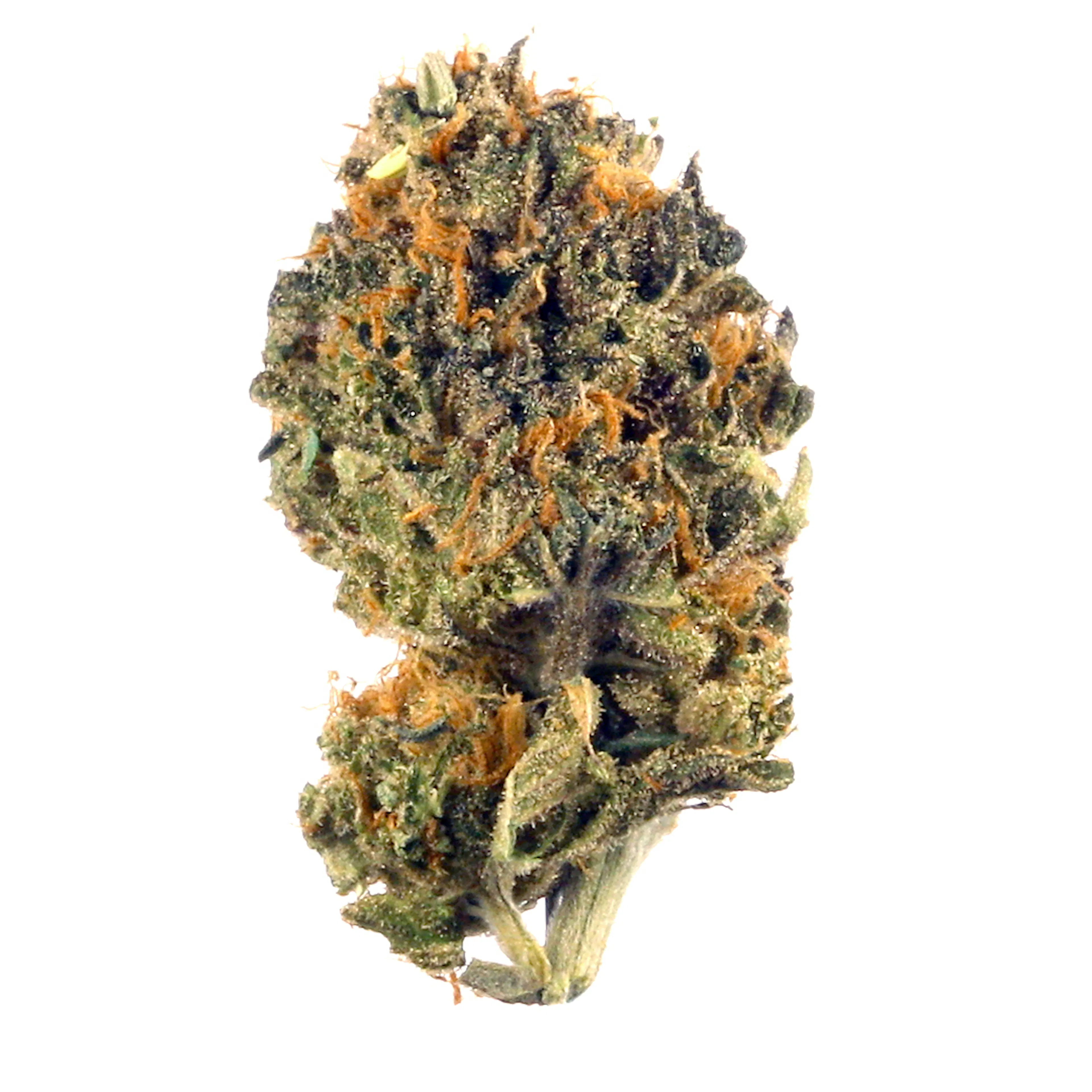 Picture of Cherry Pie Kush