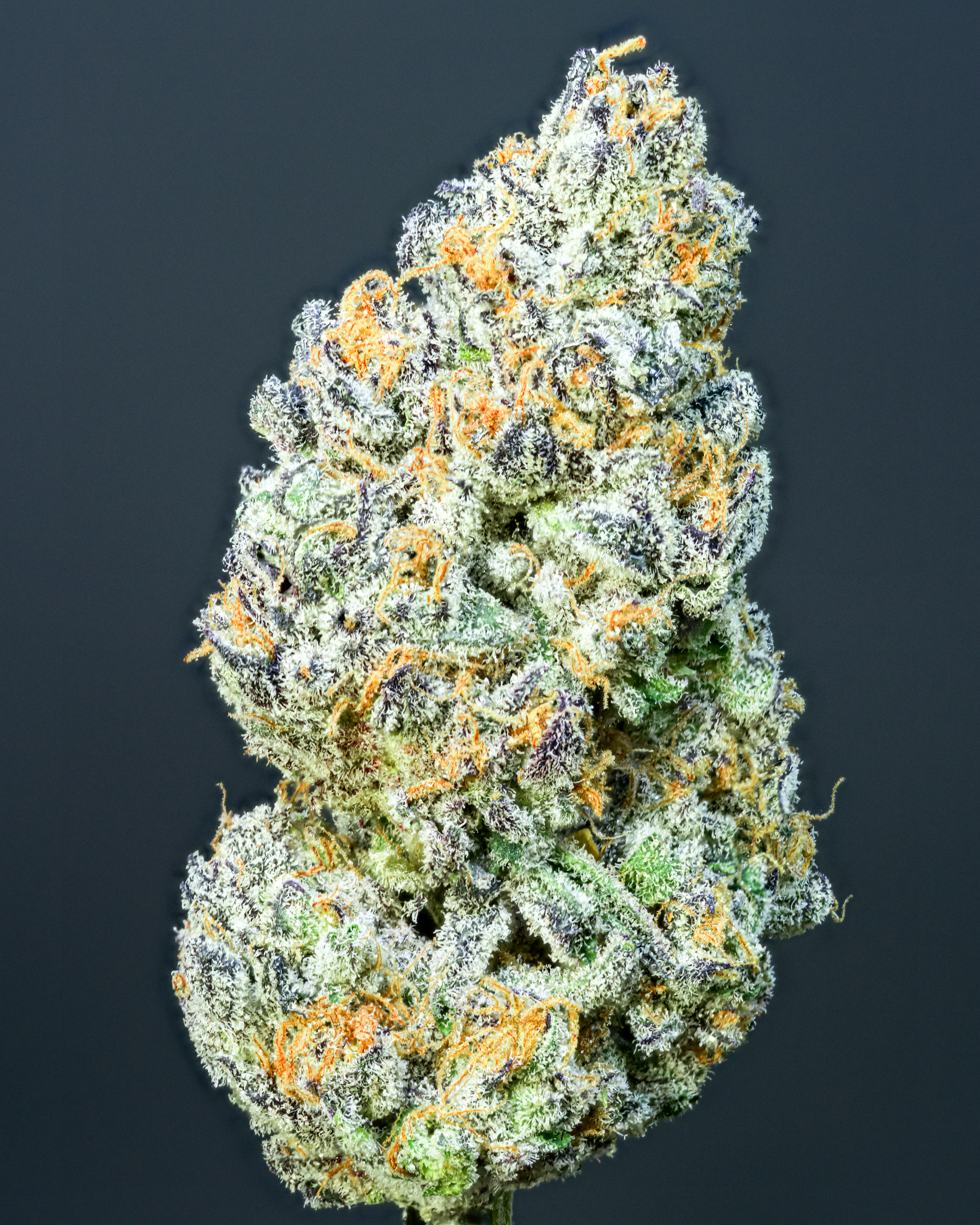 Sour Spreez