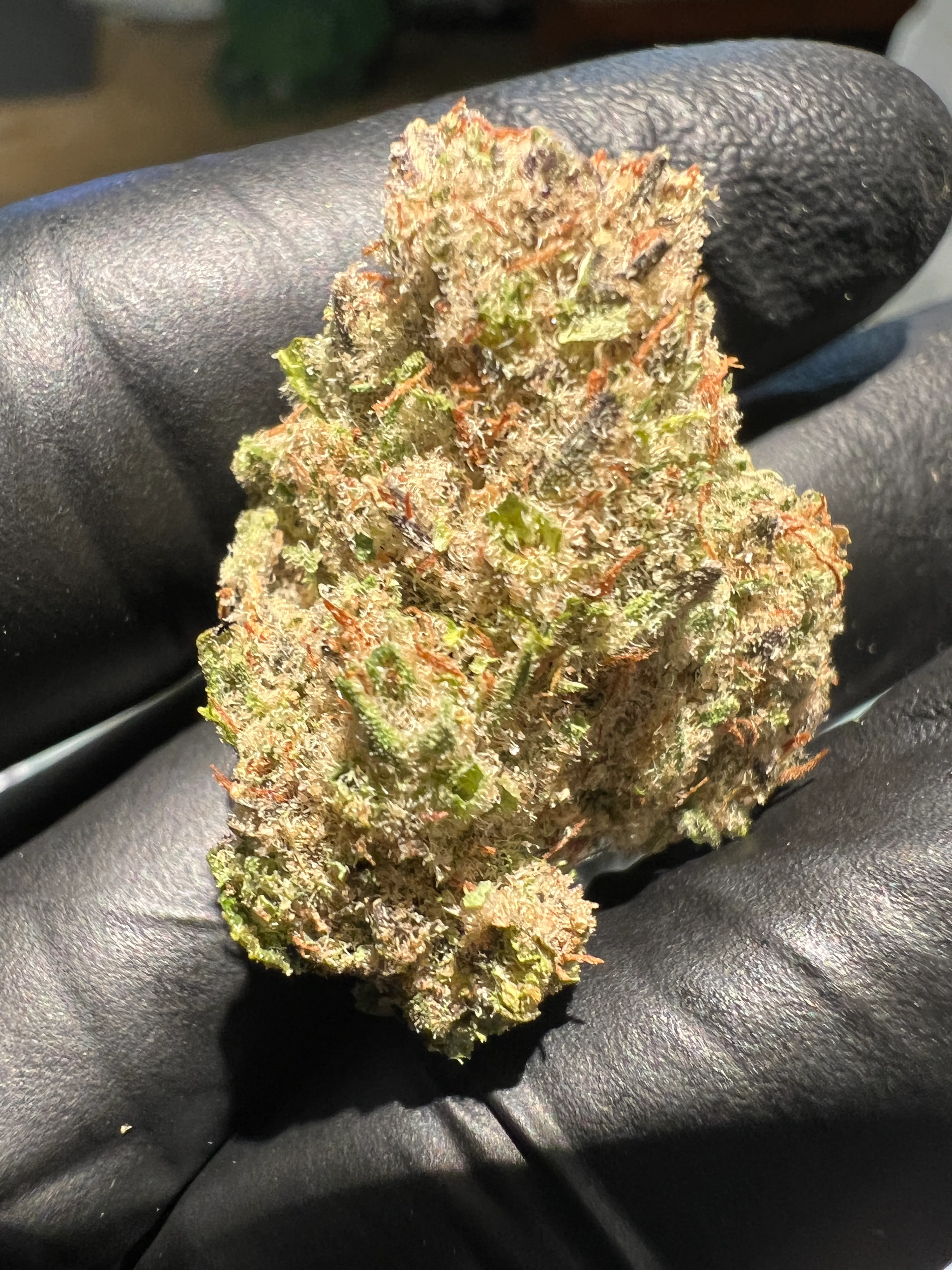 Picture of White Wookie