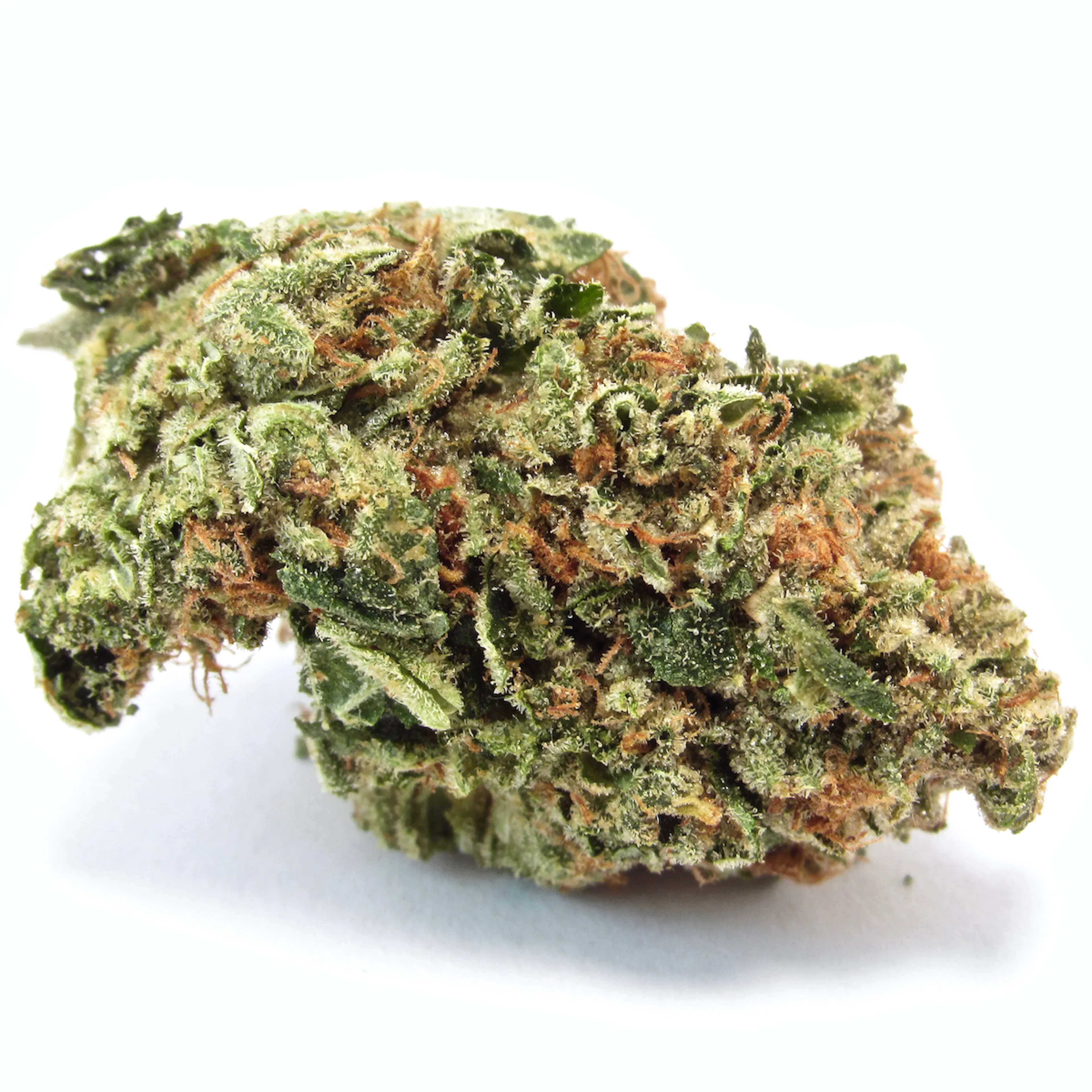 Picture of Motorbreath