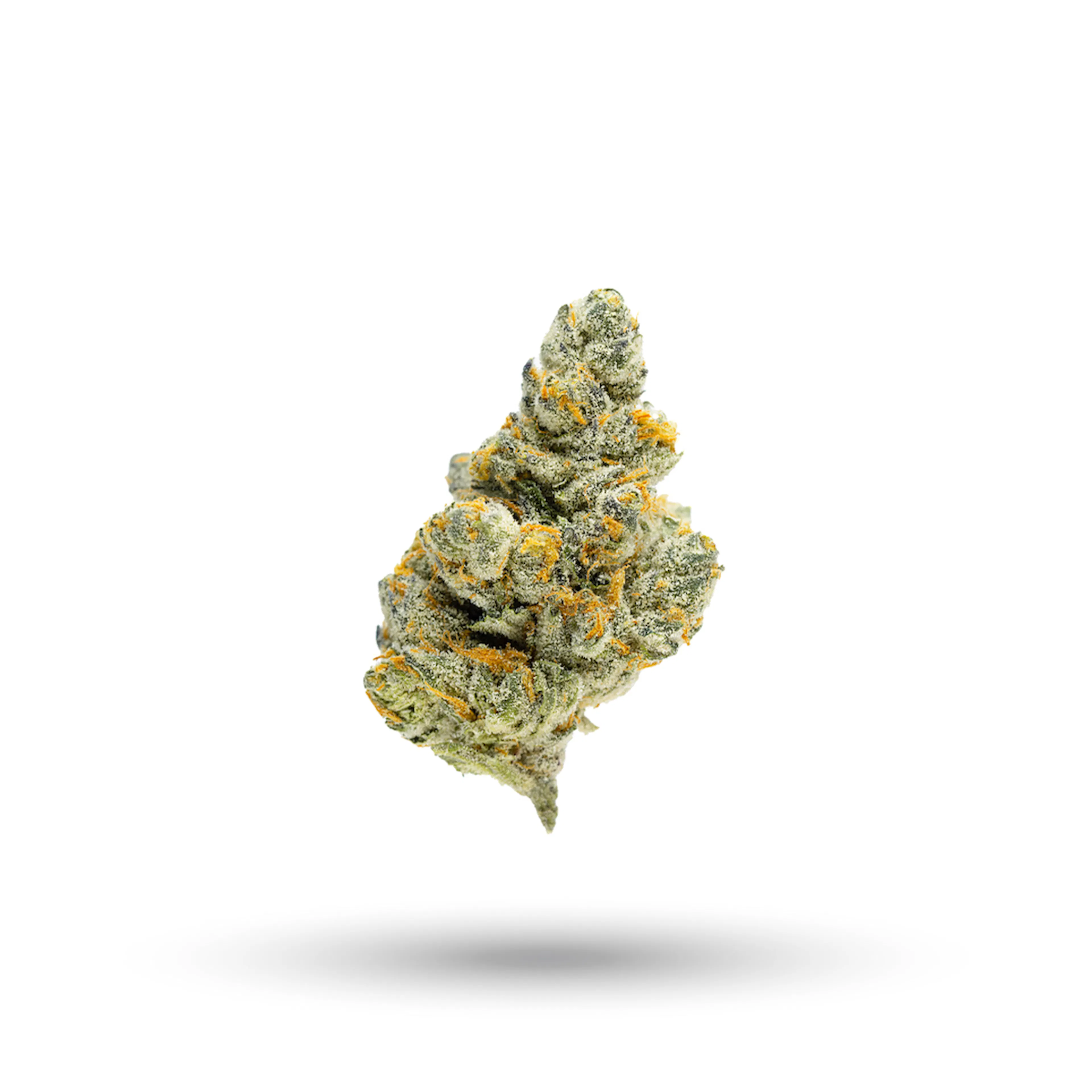 Picture of Aspen Dreamz