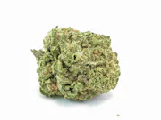 Nug image for XJ-13