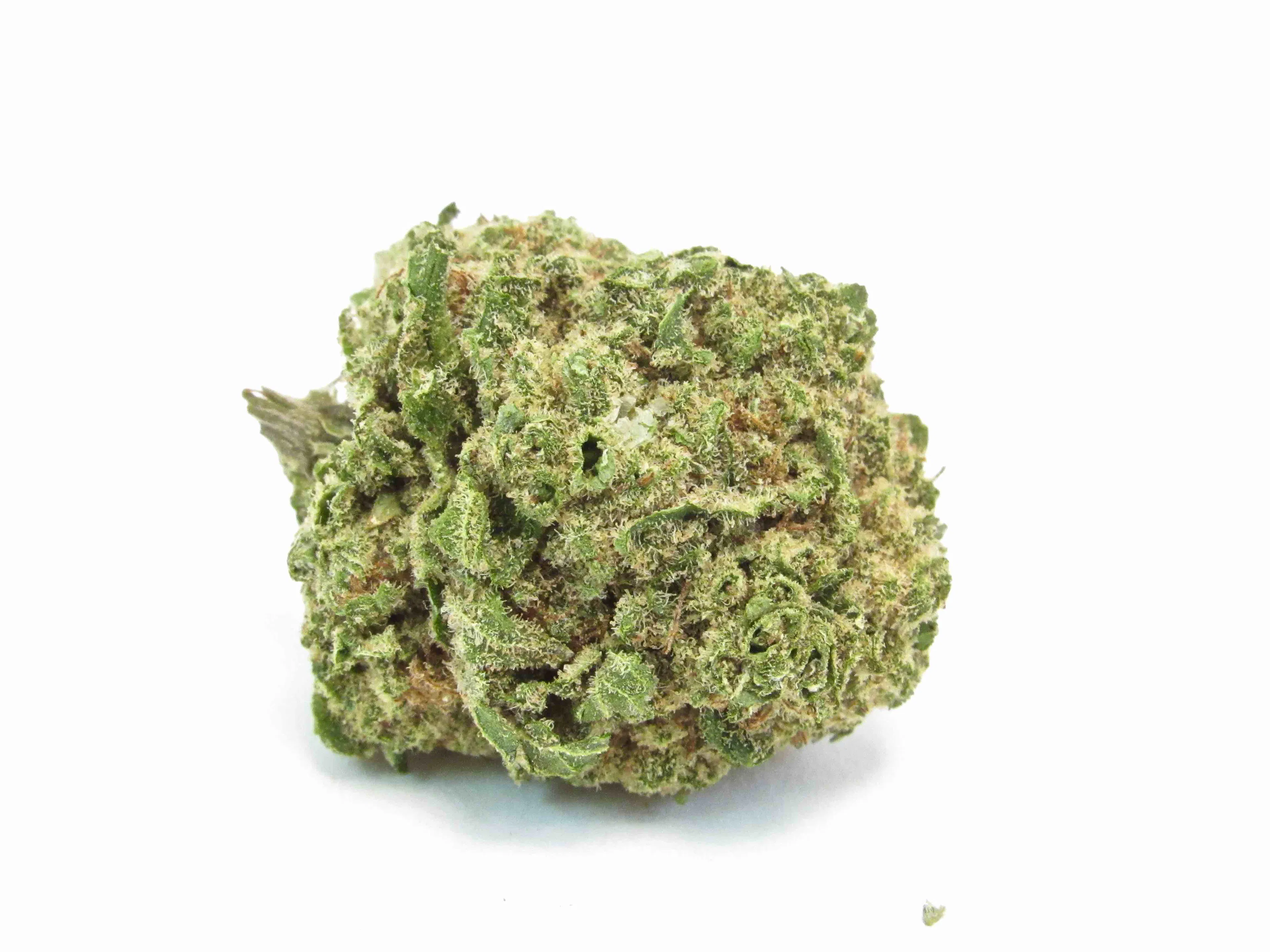 Picture of XJ-13