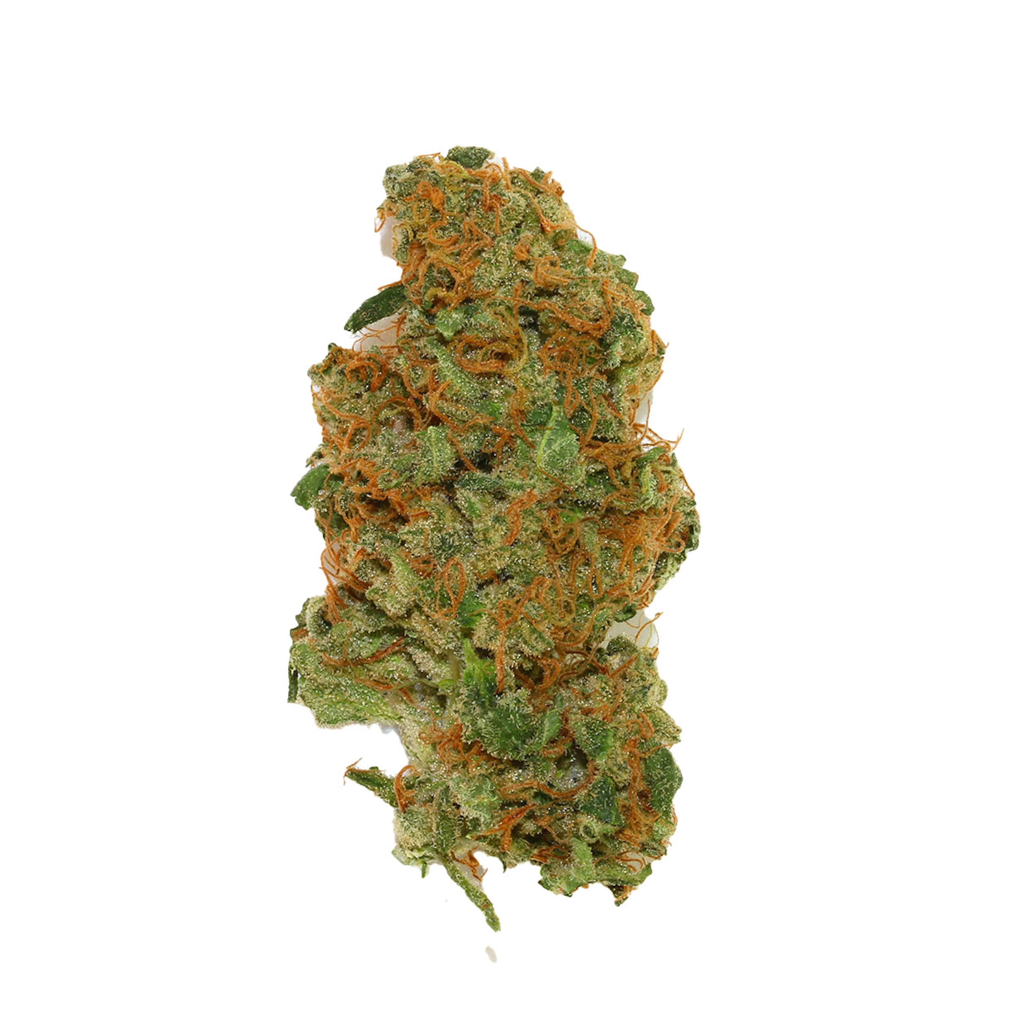 Picture of Sweet Zenzation