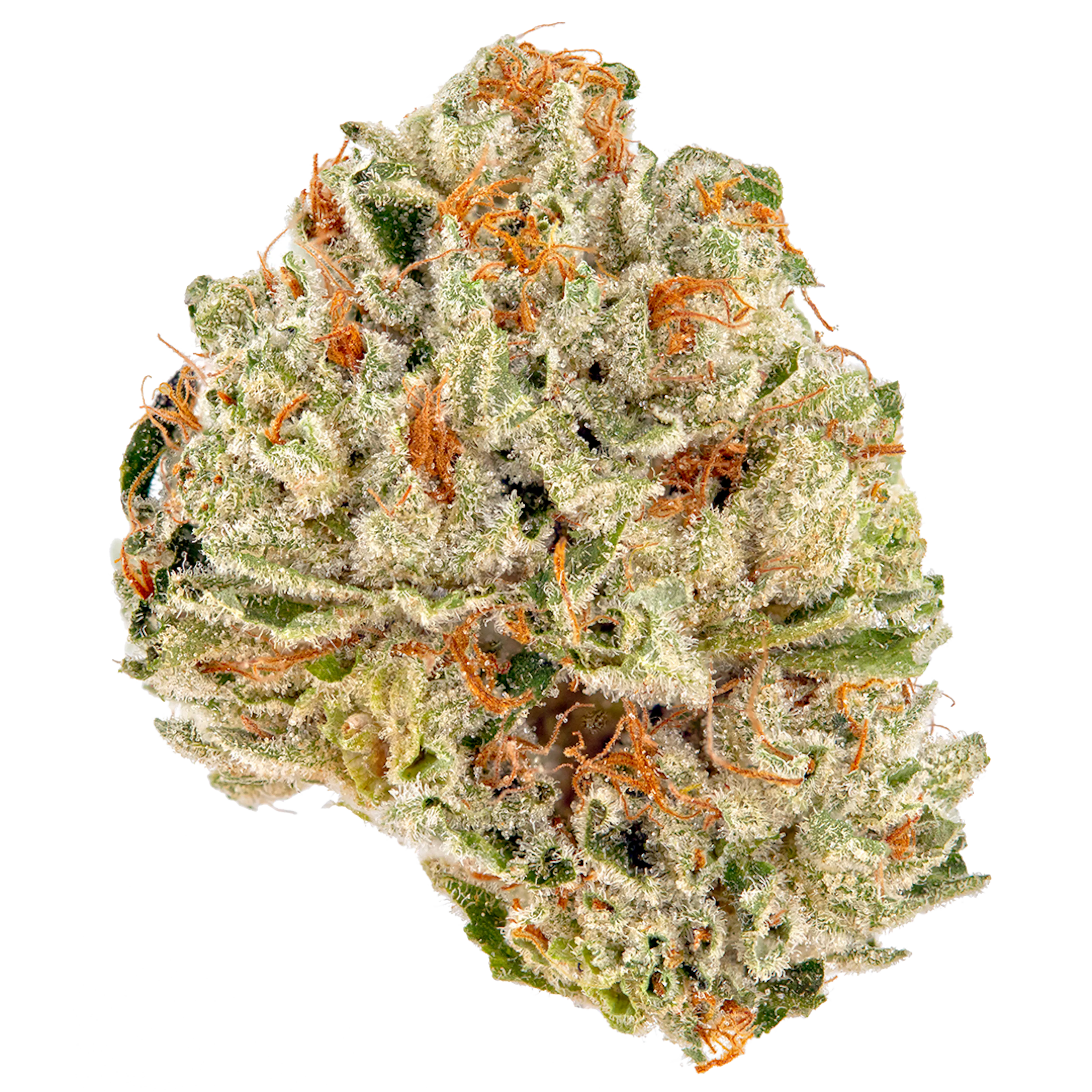 Picture of Sour OG