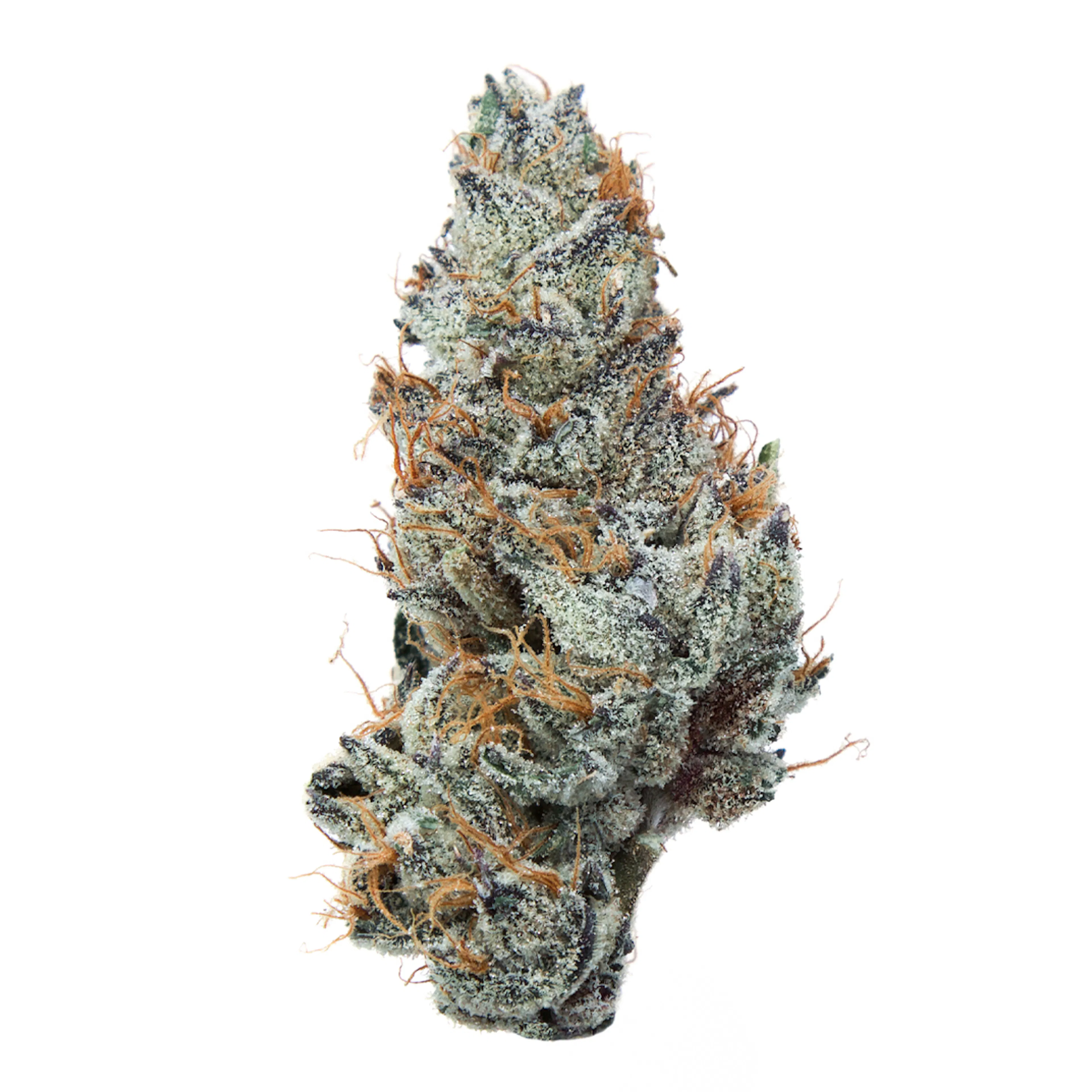 Picture of Grape Ape