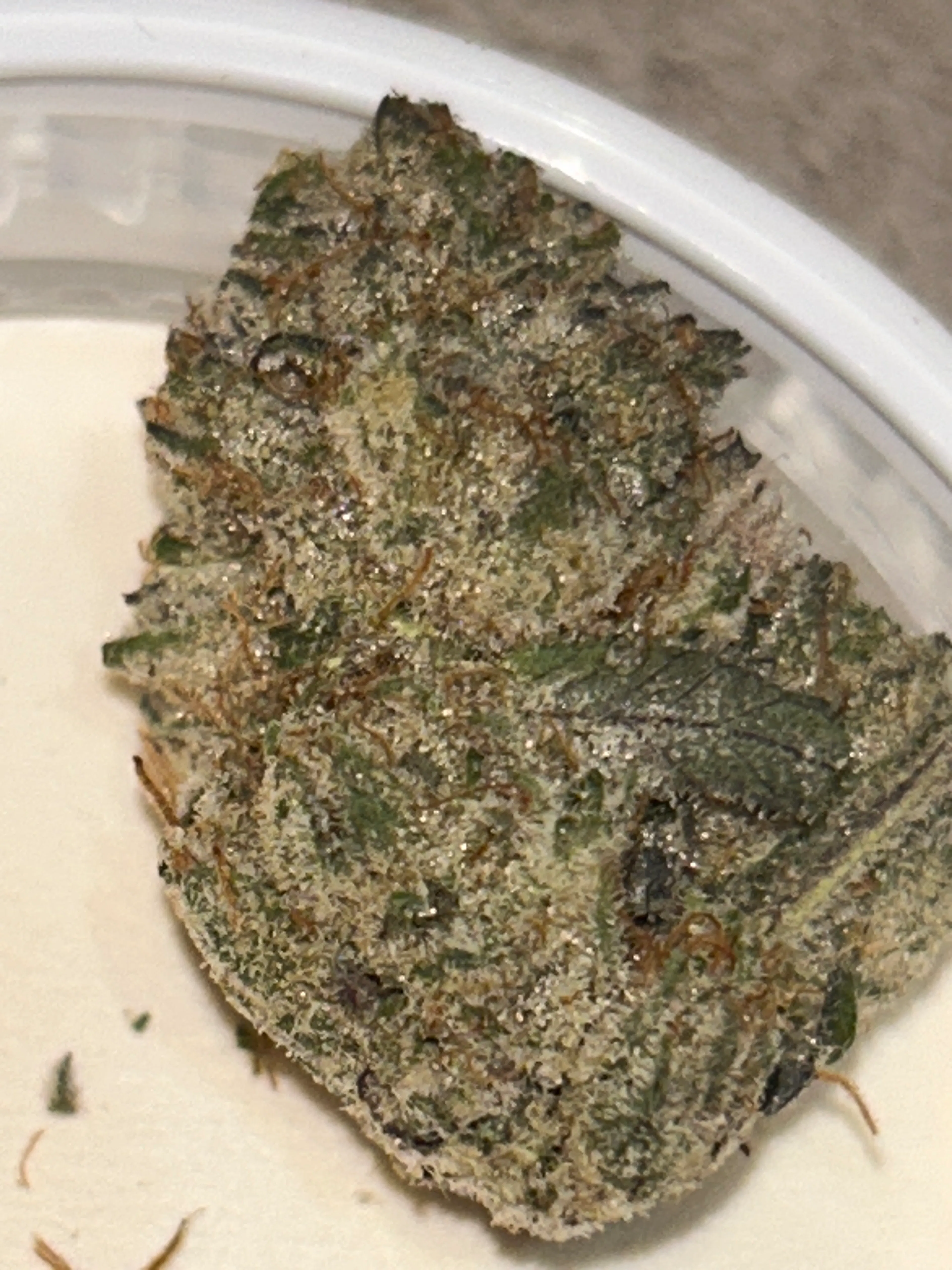 Picture of Juicy Berry