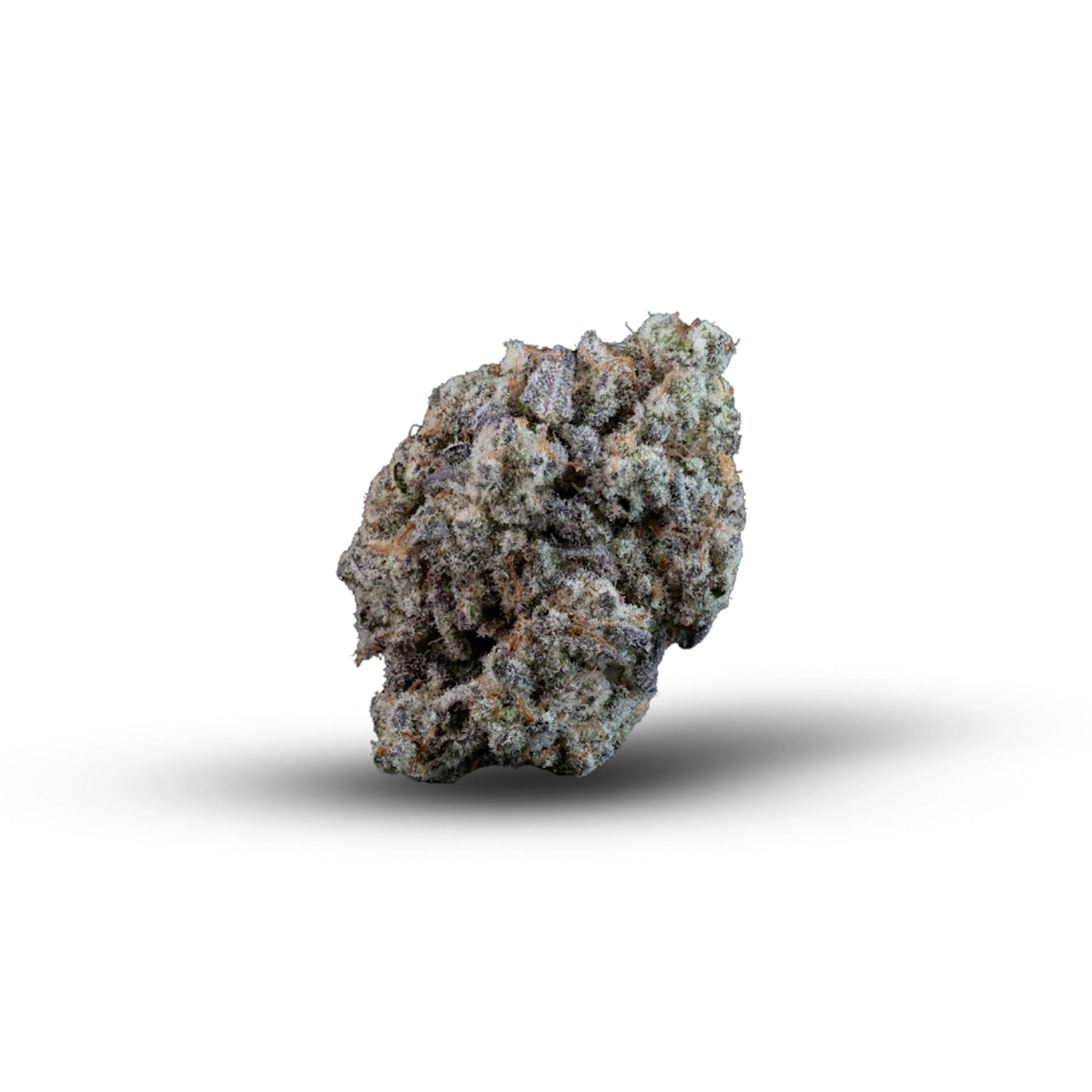 Picture of CK5
