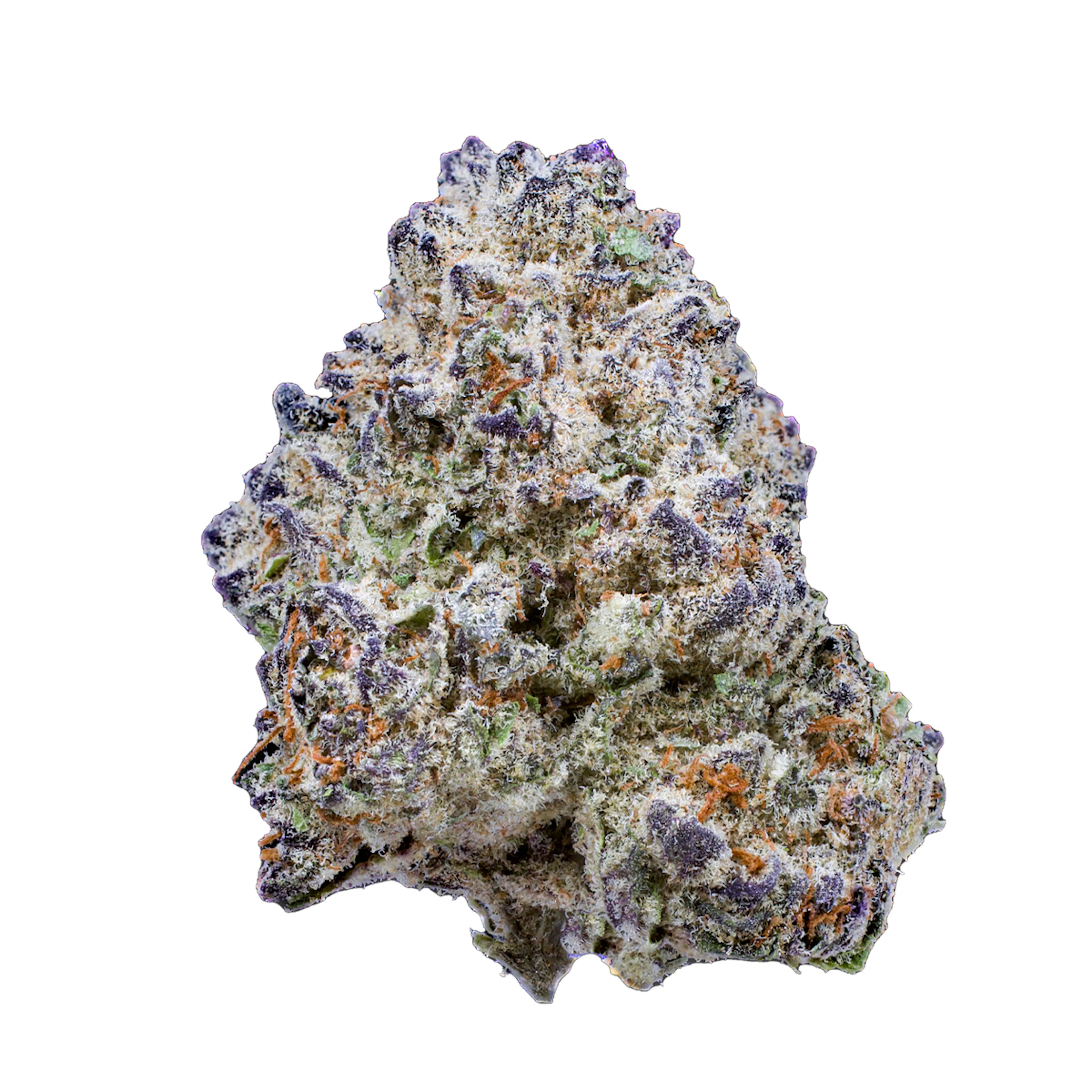 Picture of Slurricane