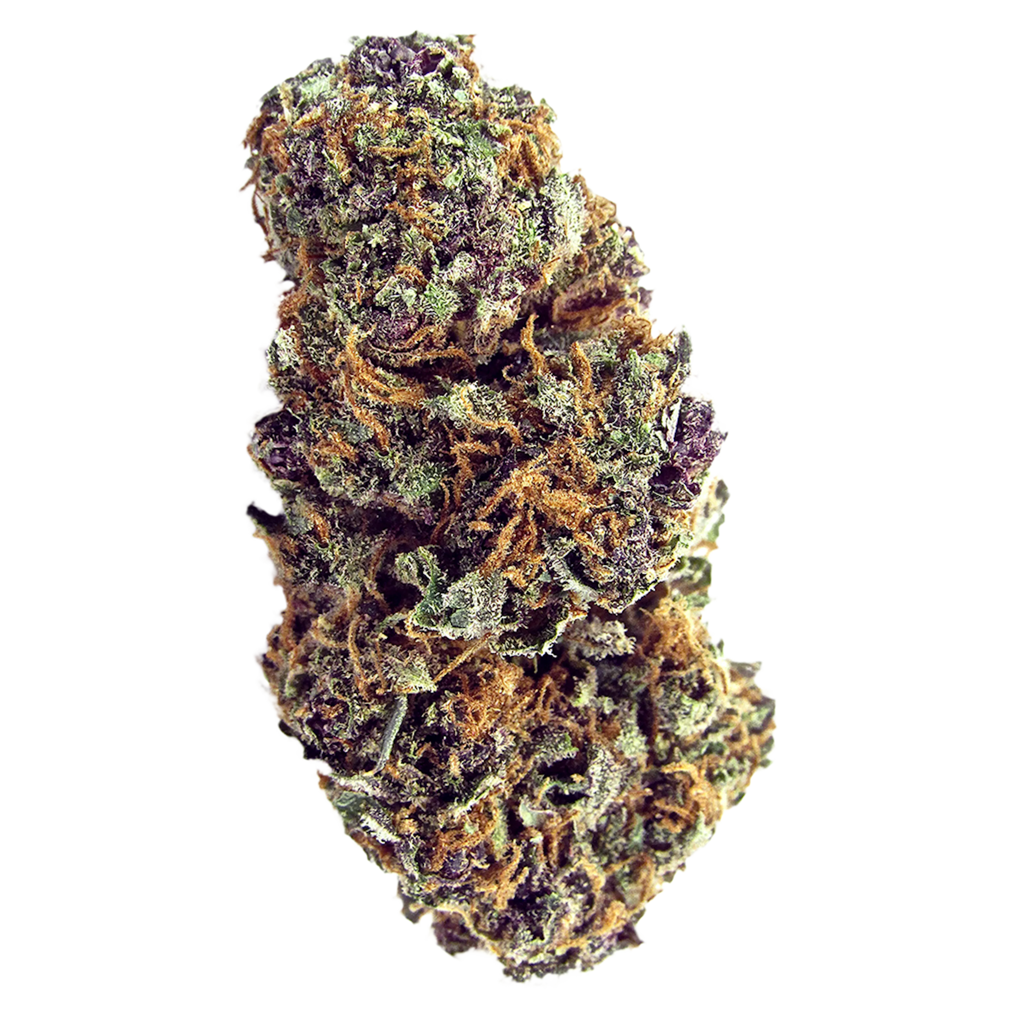 Picture of Forbidden Fruit