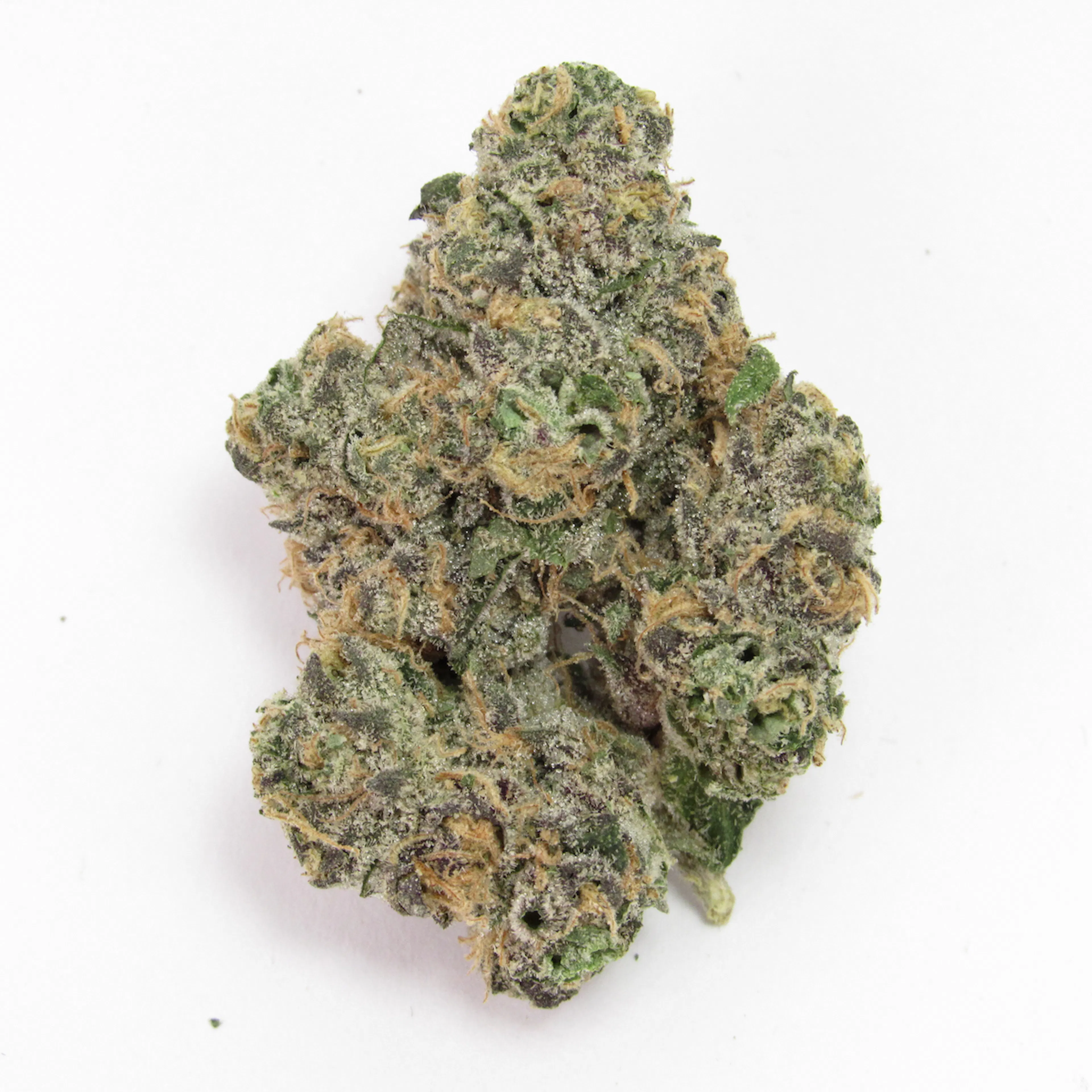 Picture of Blackberry Gary