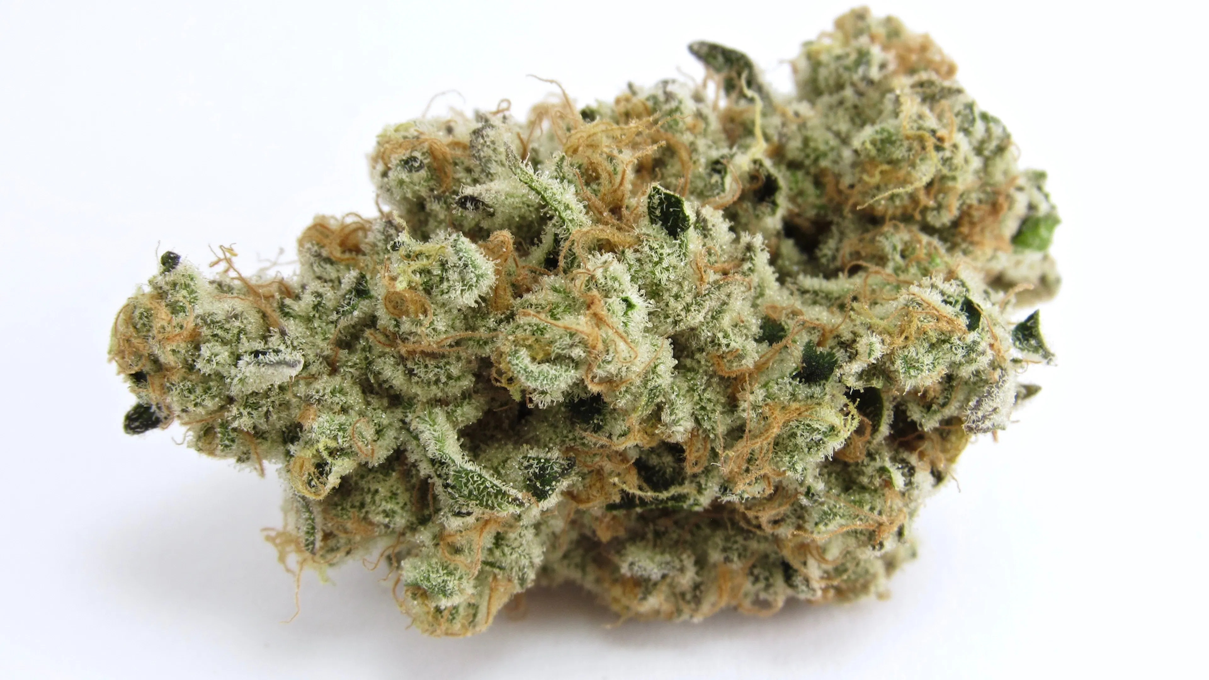 Picture of Platinum Kush Breath