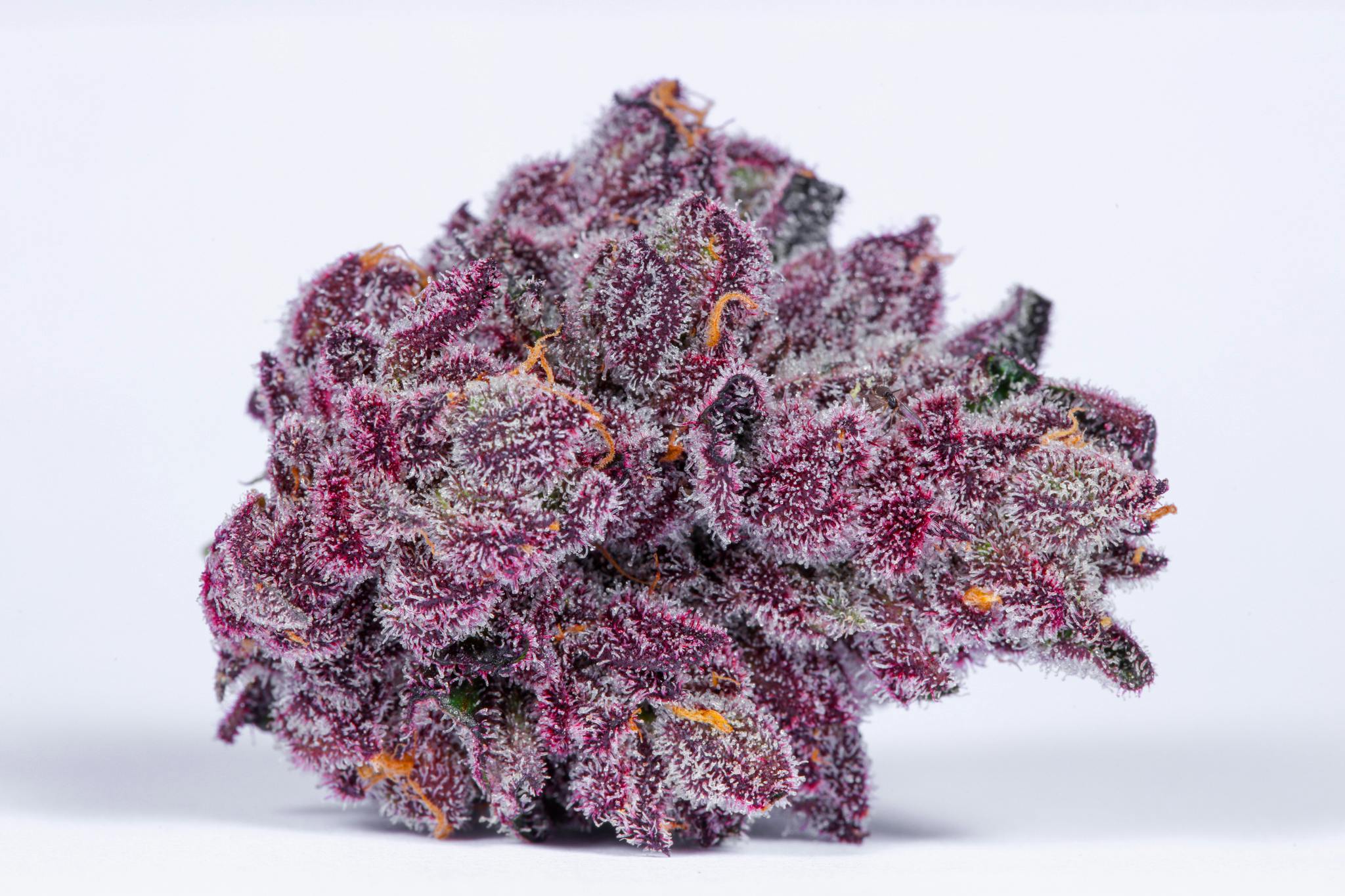 Grandi Candi Weed Strain Information Leafly