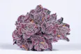 The Standard: Flower | Grandi Candi | 14.15g