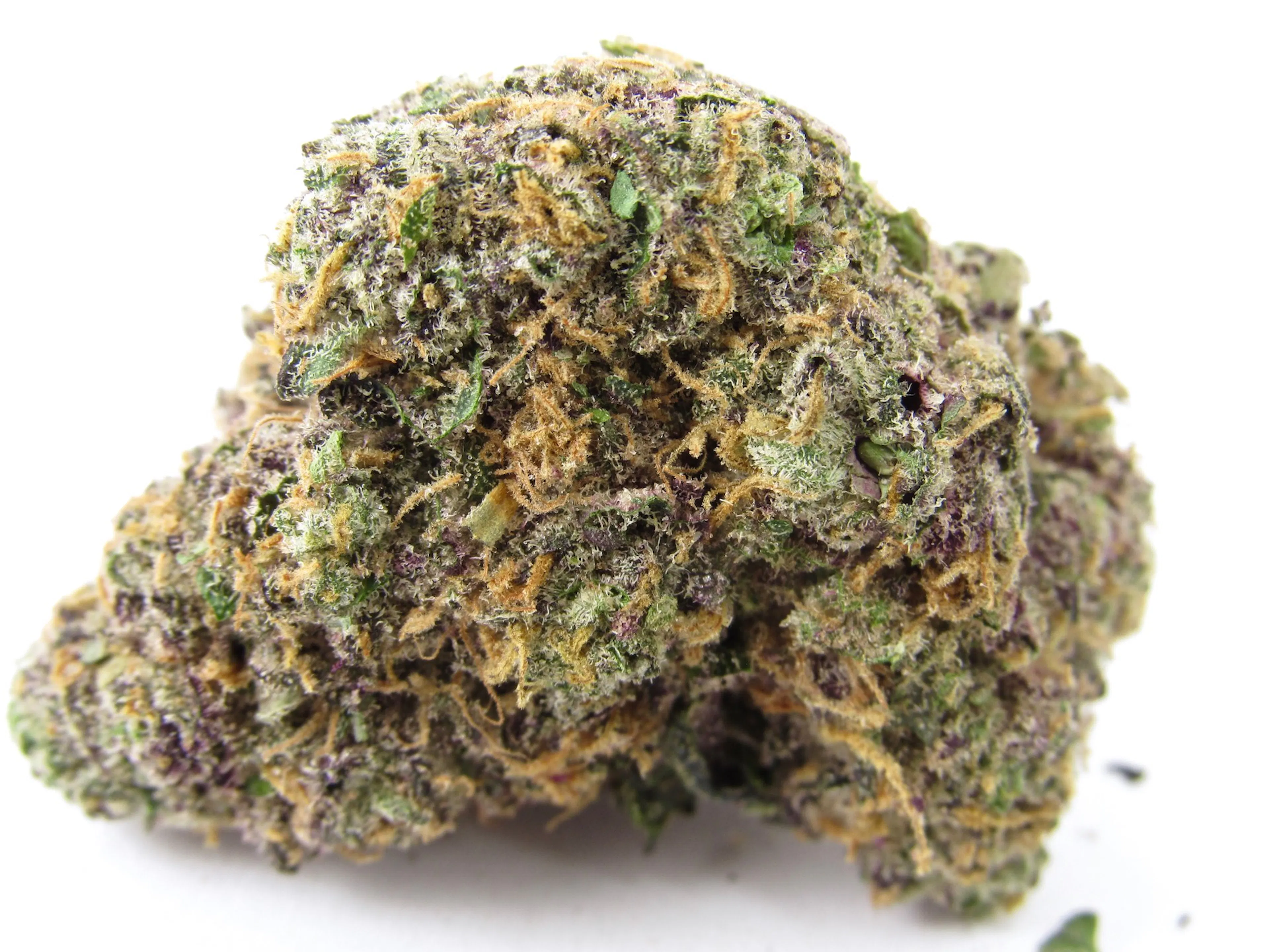 Picture of Zoap
