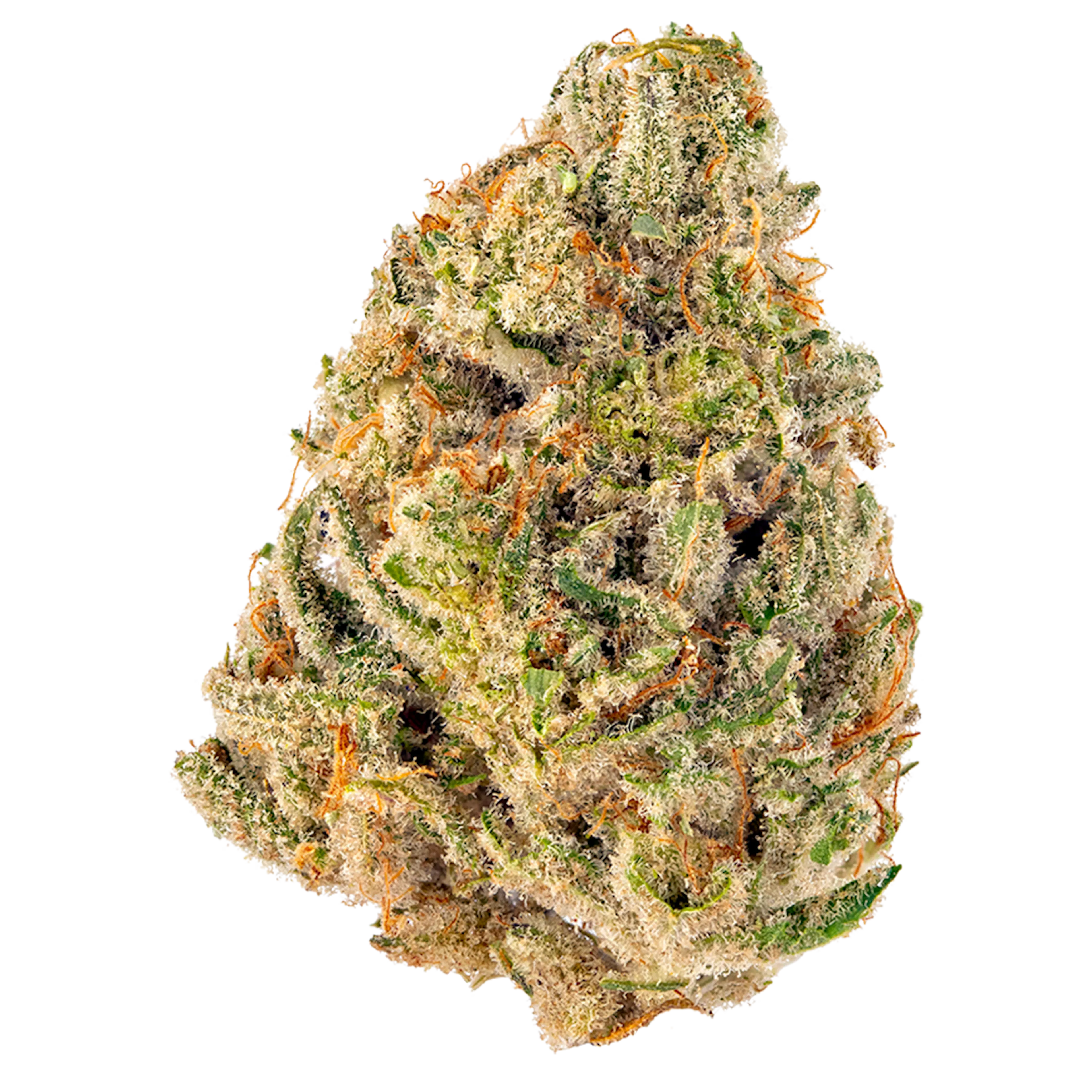 Picture of Clementine