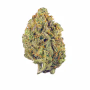 Nug image for Super Lemon Haze