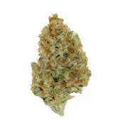 Nug image for Sweet Cheese