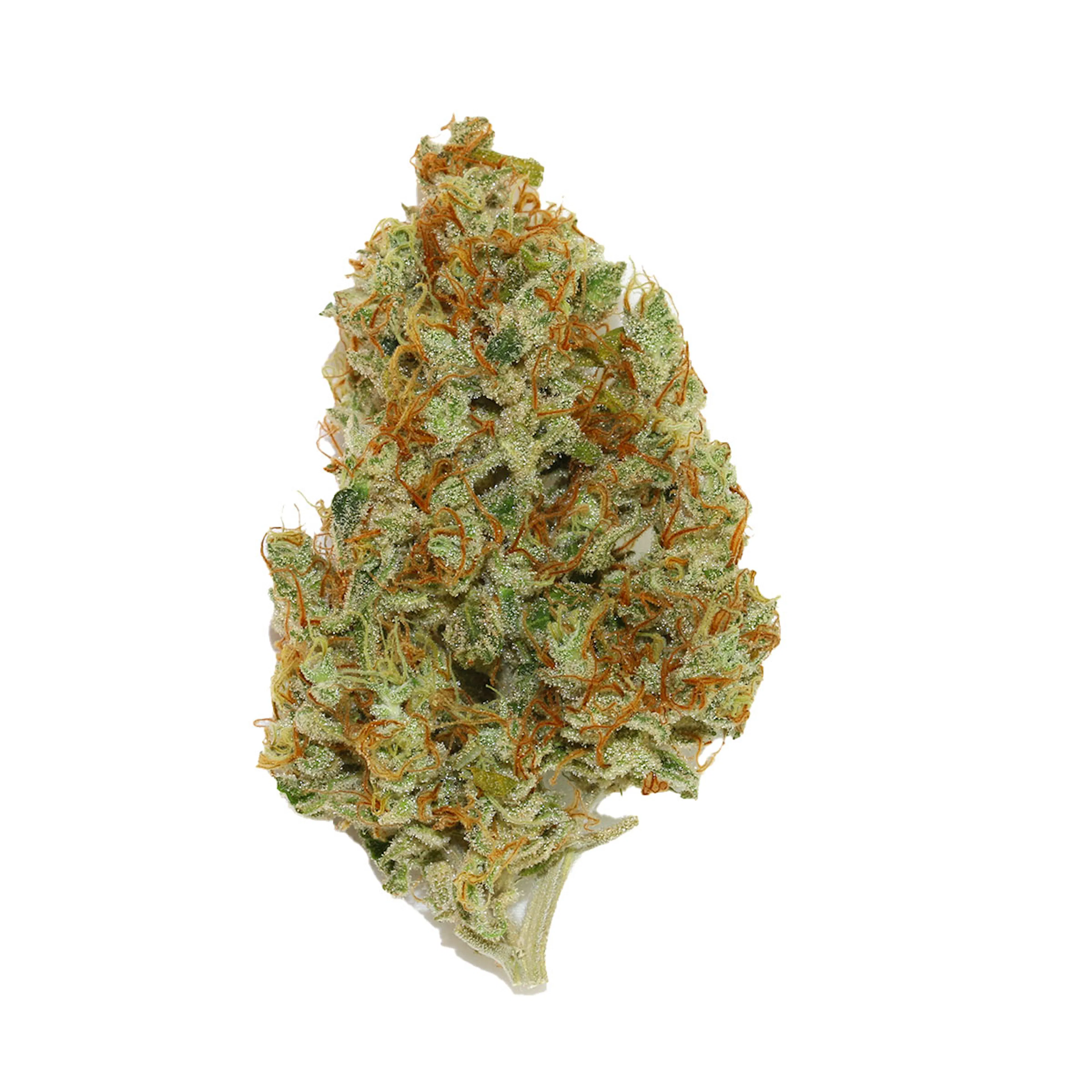 Picture of Sweet Cheese