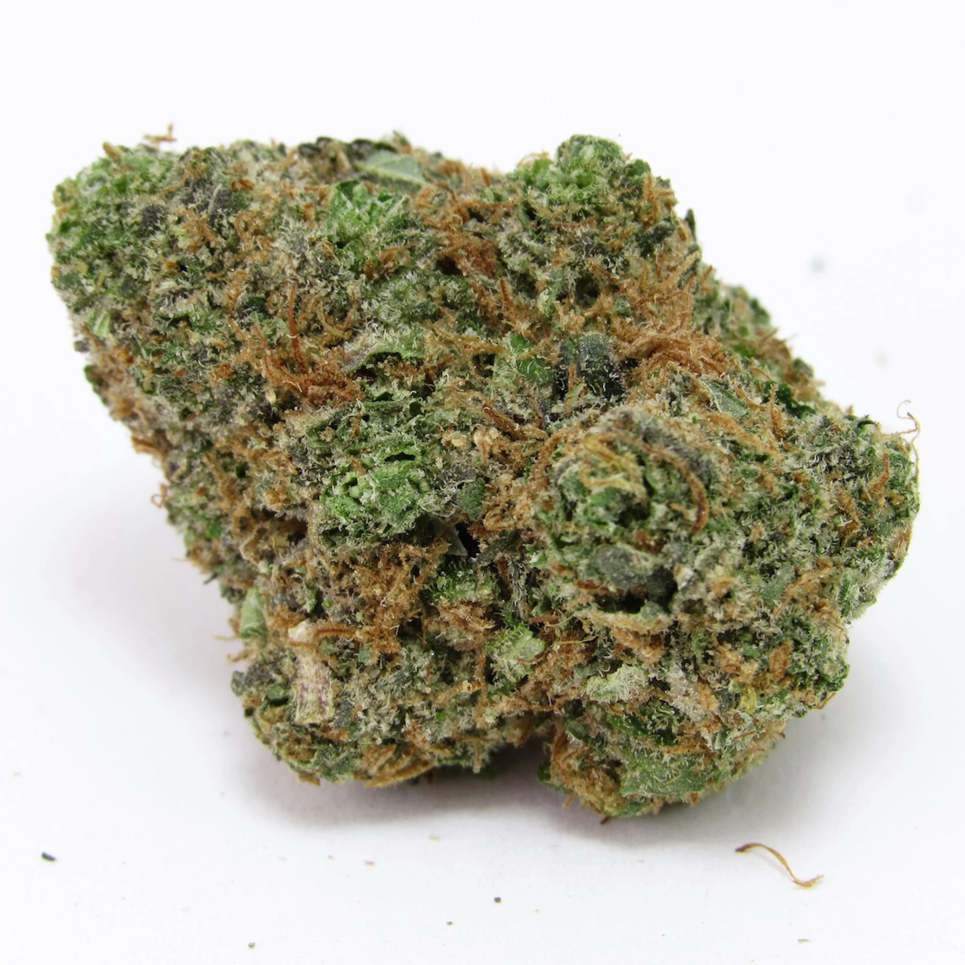 Picture of Grapefruit Zlushiez