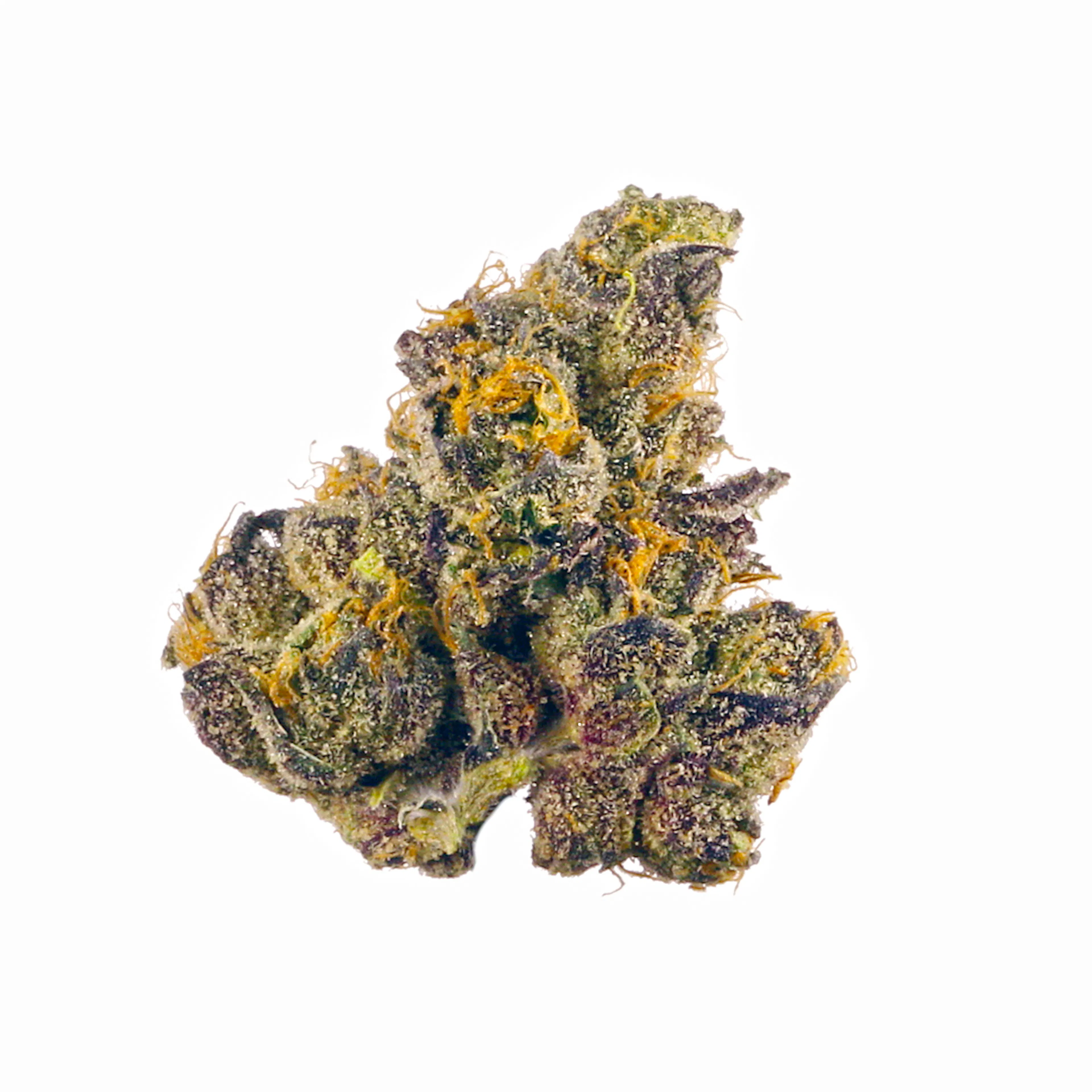 Picture of Orange Sherbert