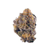 Nug image for Purple OG Kush
