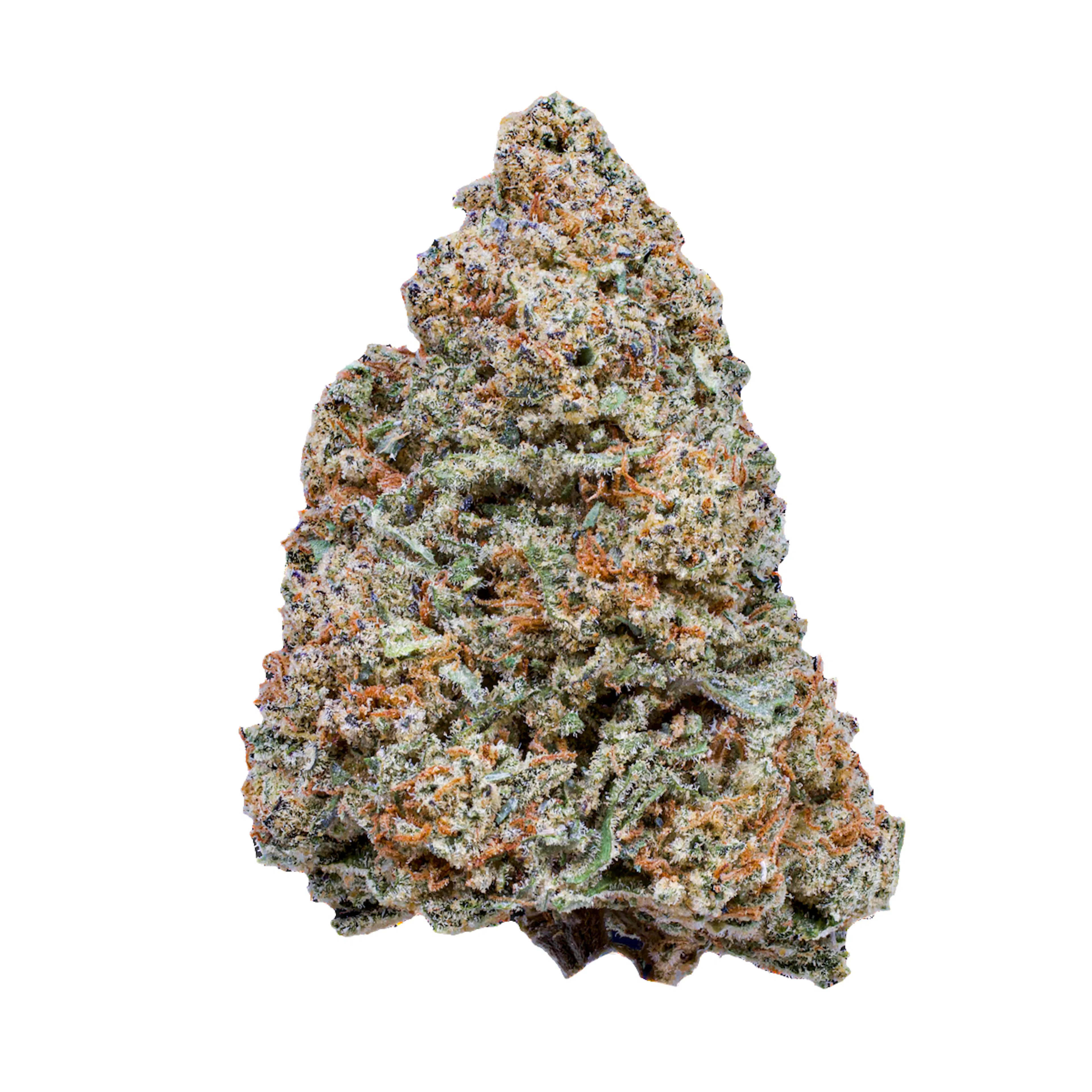Picture of Mac 1