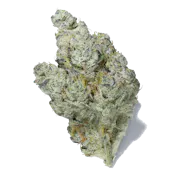 Nug image for Brownie Scout