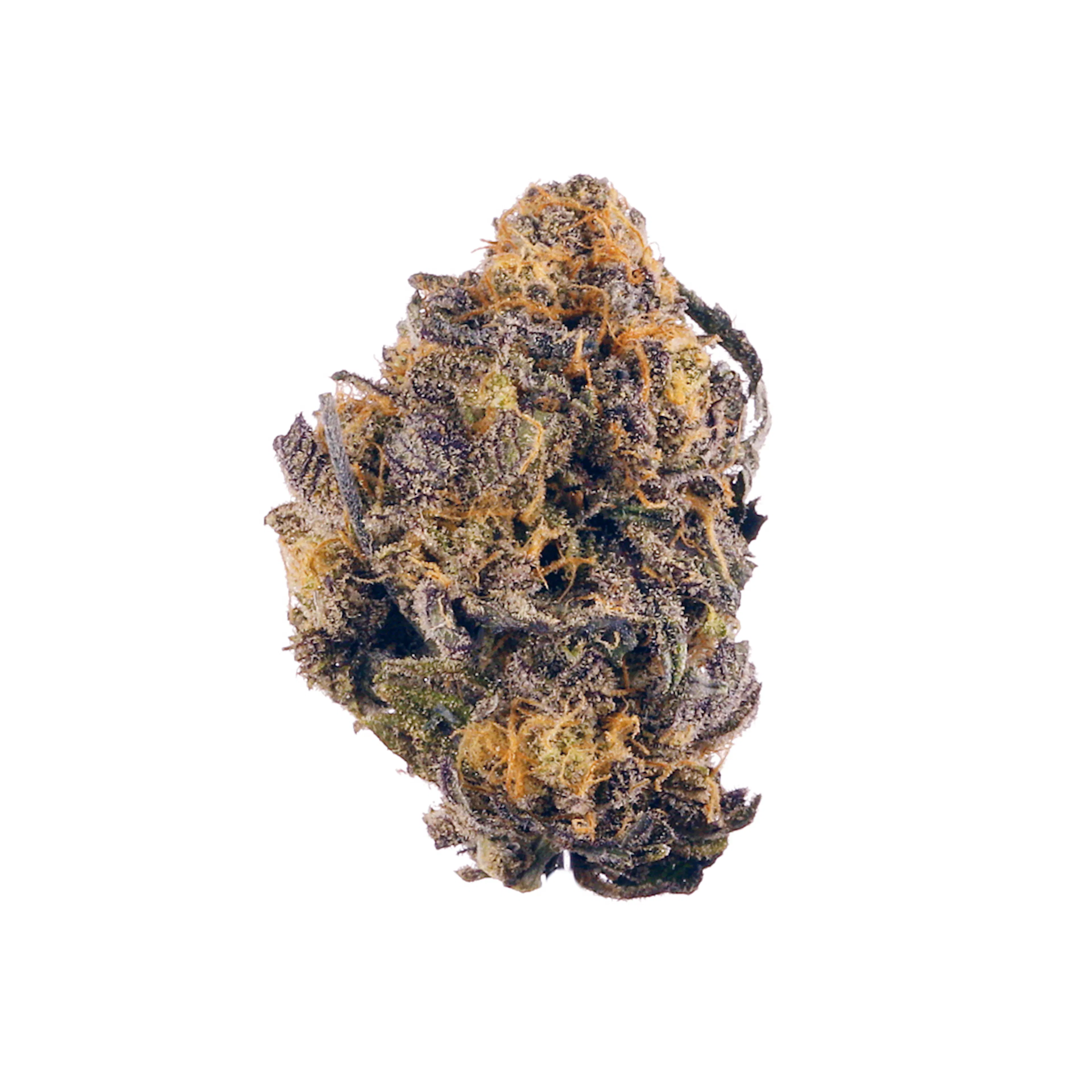Picture of Purple Kush